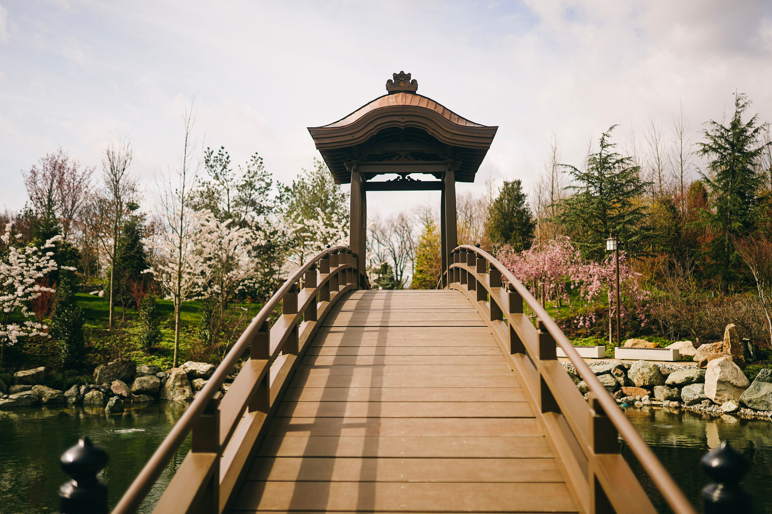 Японский сад. Фотограф с психологическим образованием