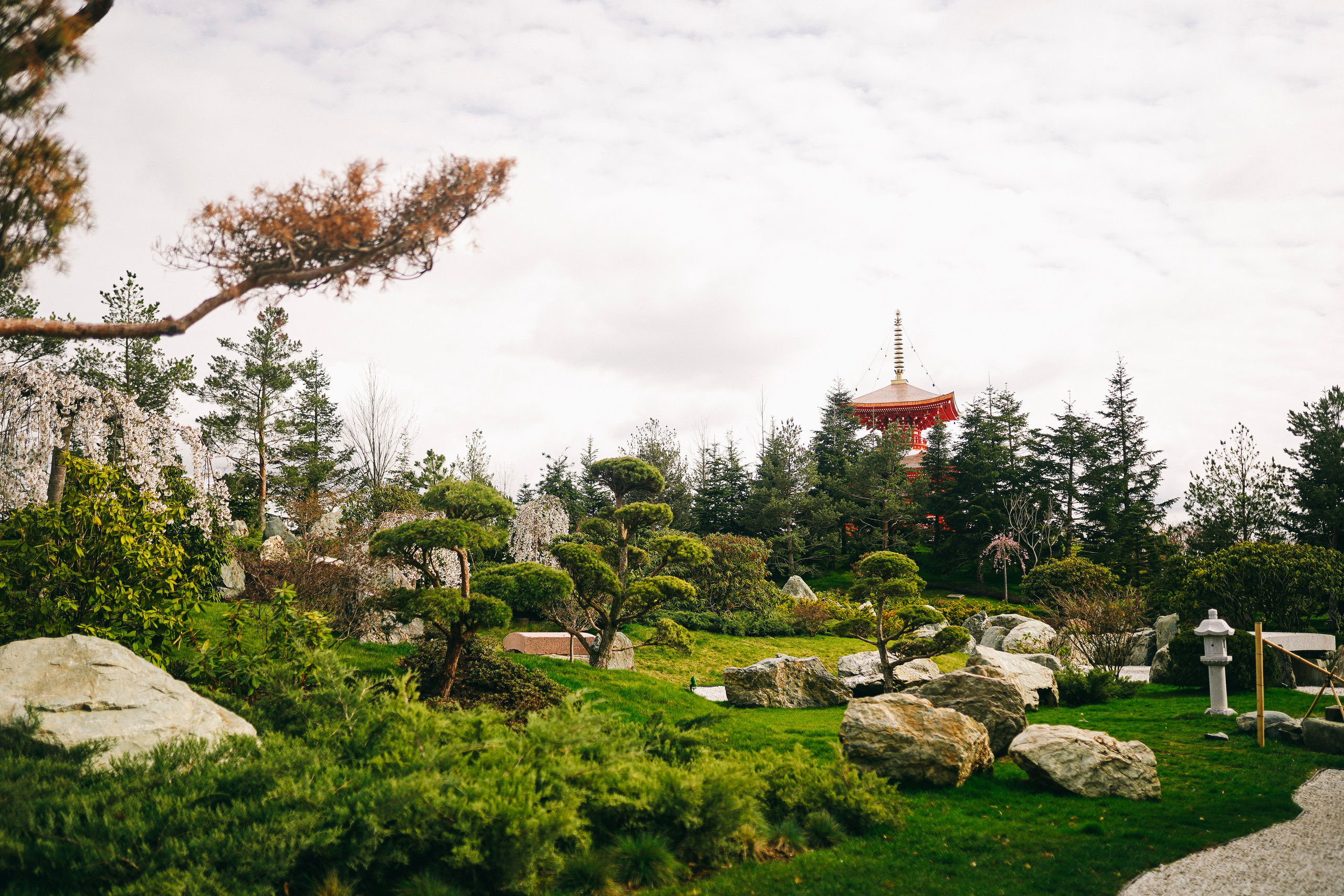Японский сад. Фотограф с психологическим образованием