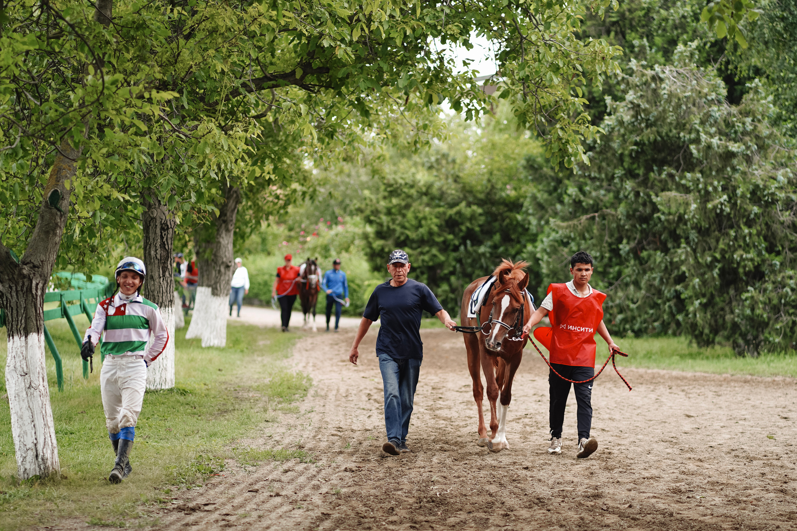 Скачки. Фотограф с психологическим образованием