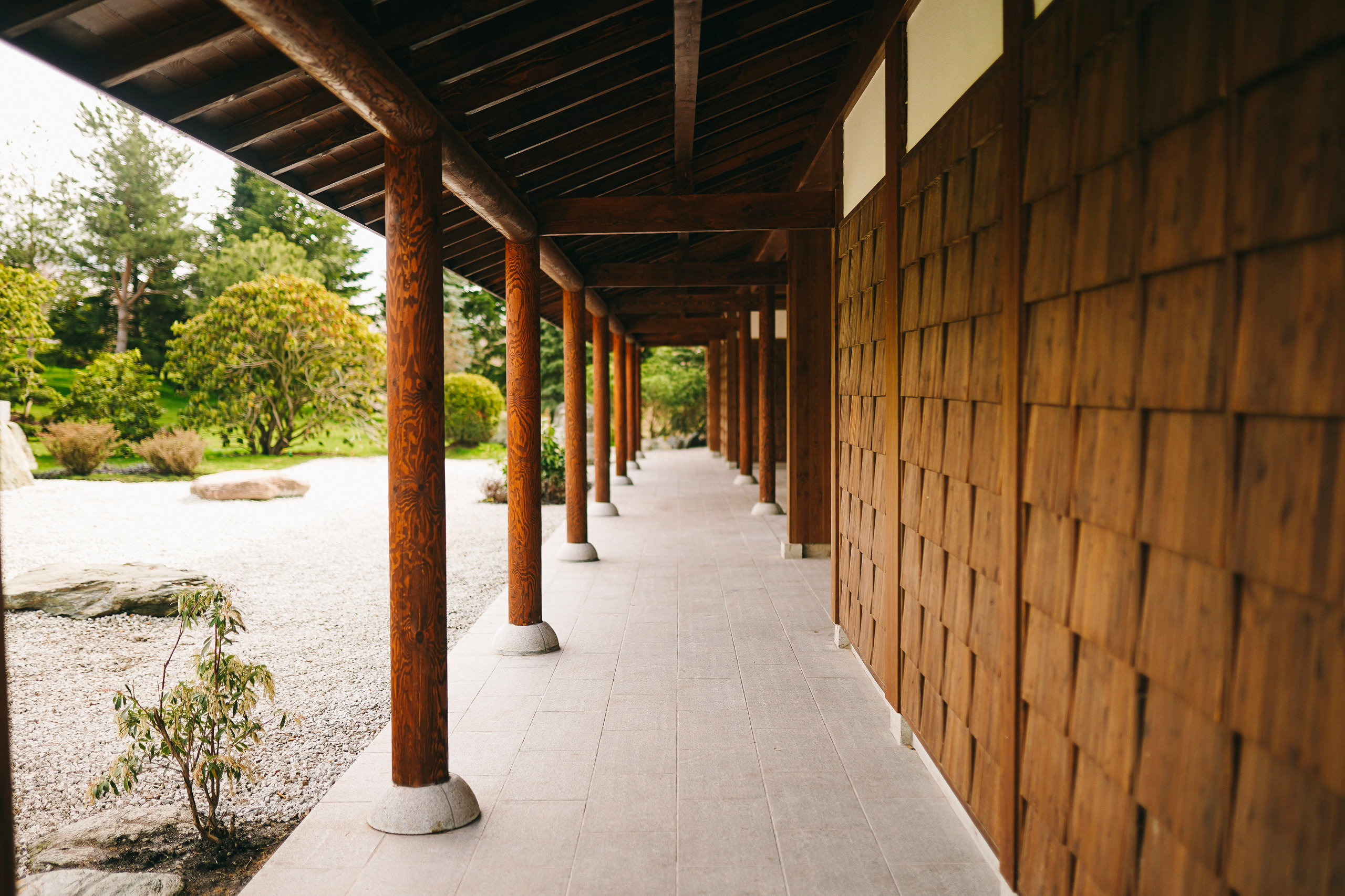 Японский сад. Фотограф с психологическим образованием