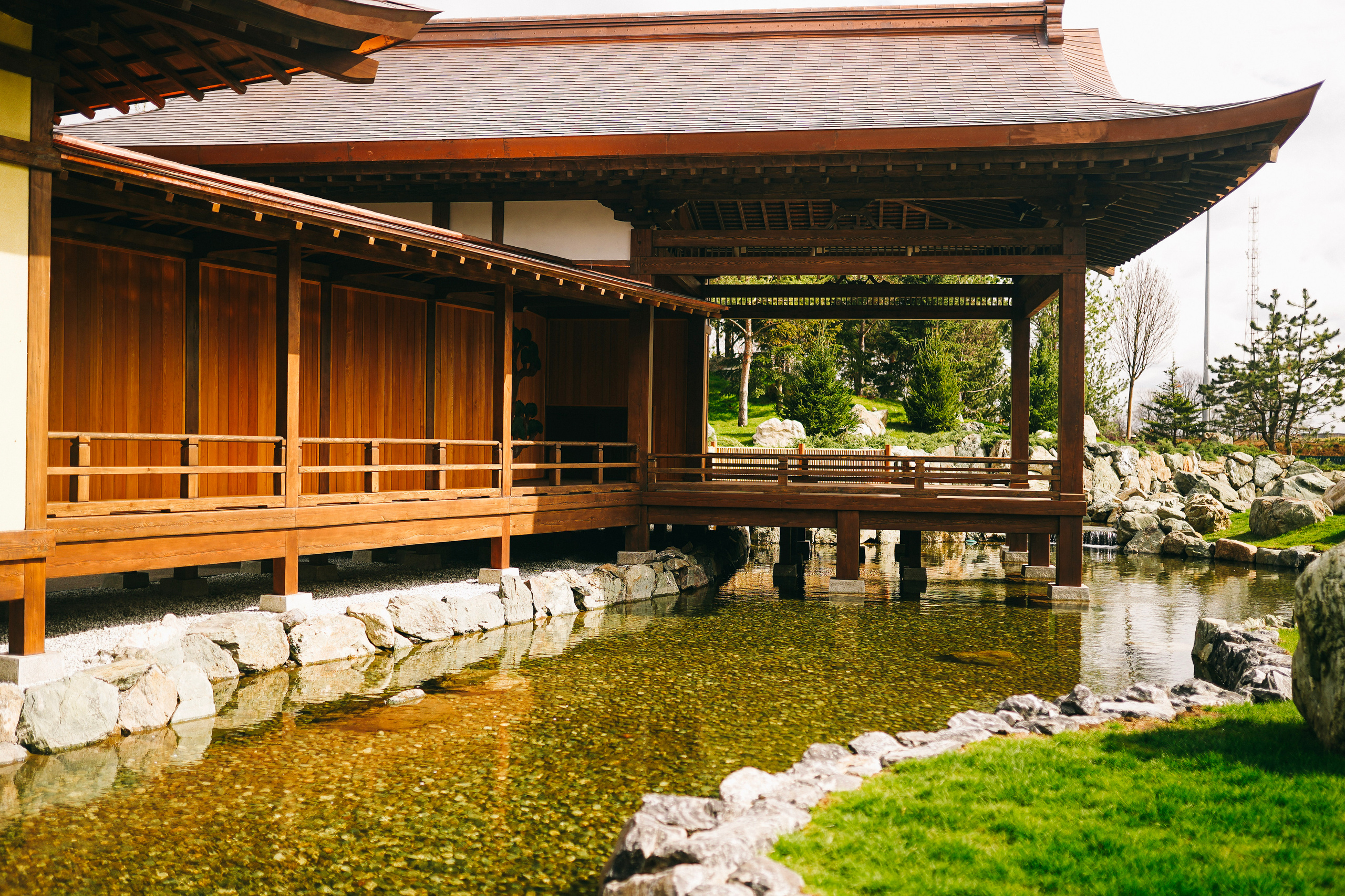 Японский сад. Фотограф с психологическим образованием