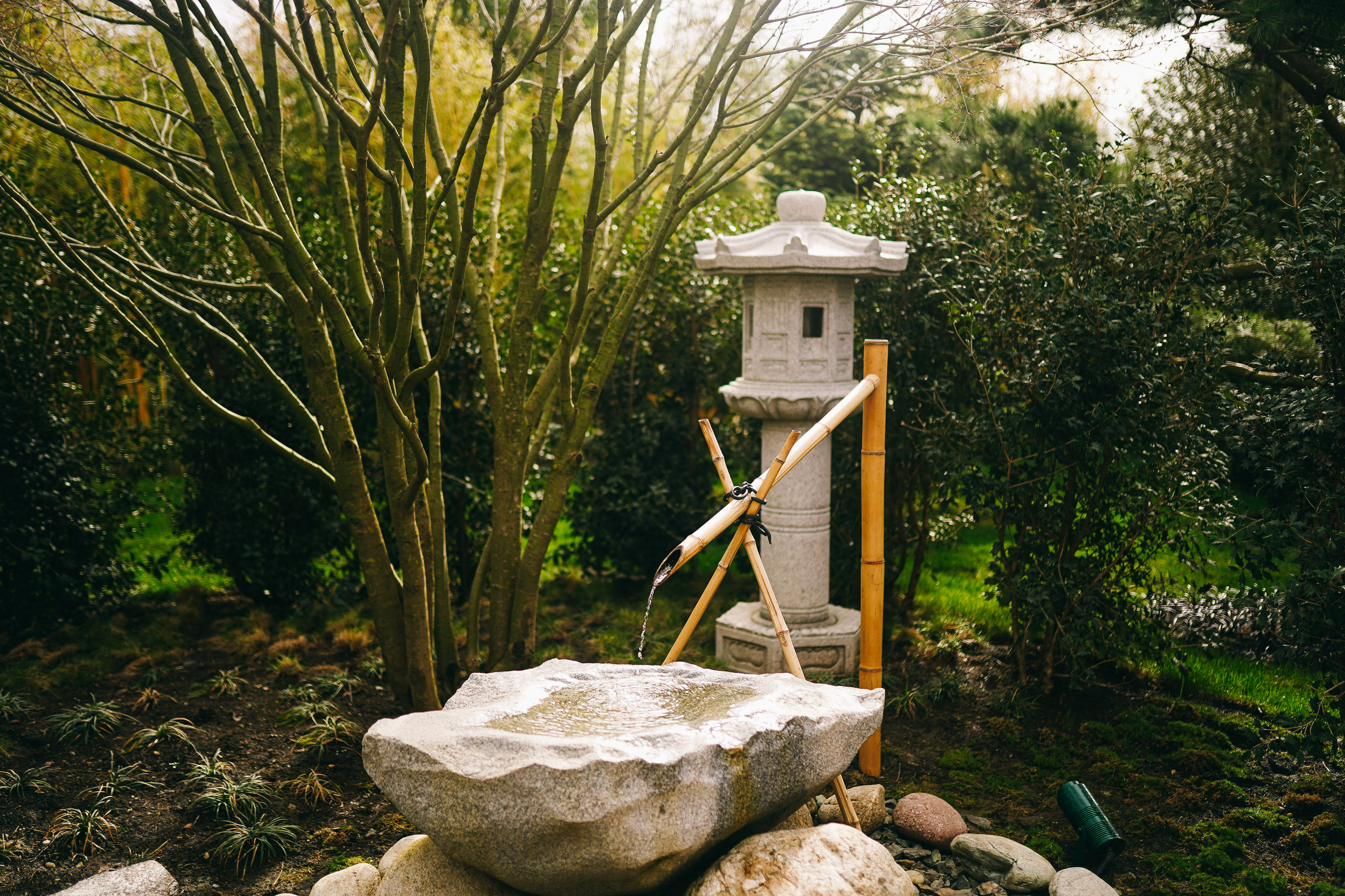 Японский сад. Фотограф с психологическим образованием