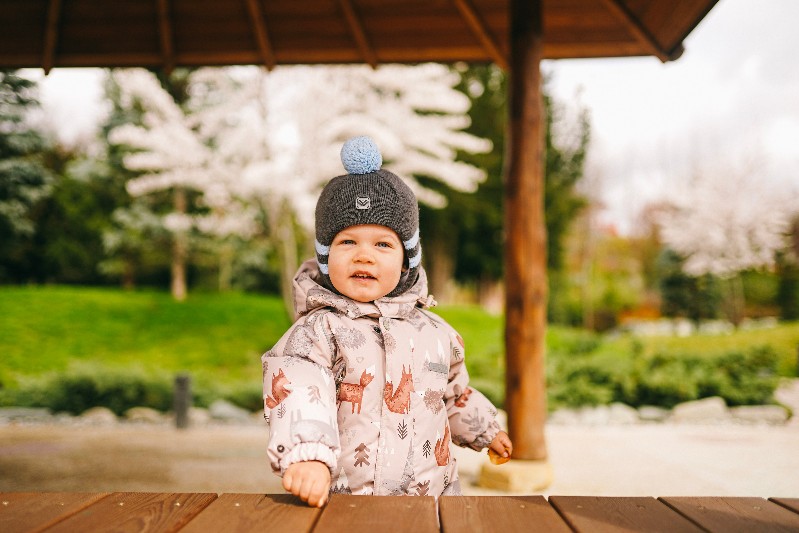 Японский сад. Фотограф с психологическим образованием