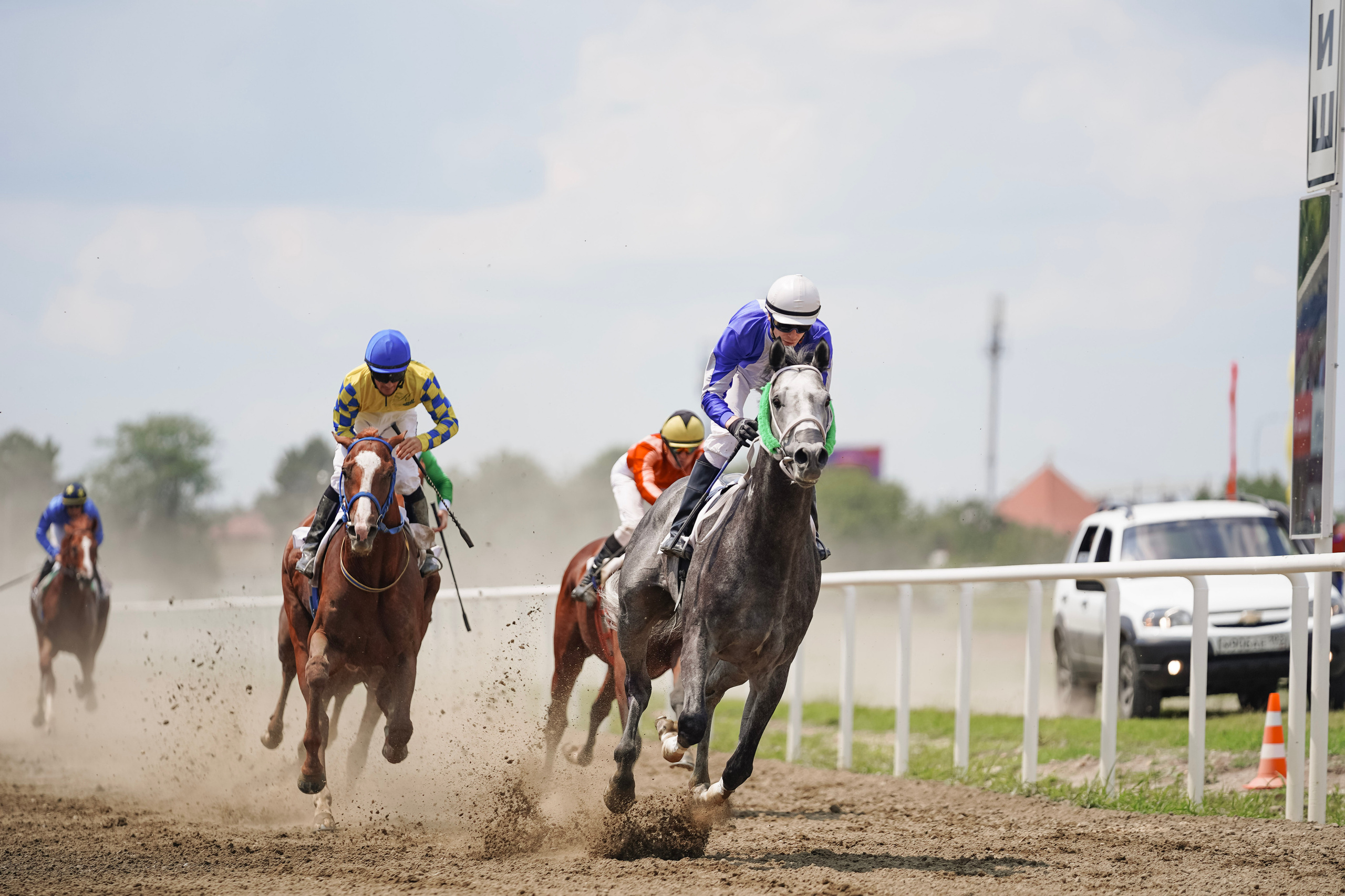 Скачки. Фотограф с психологическим образованием