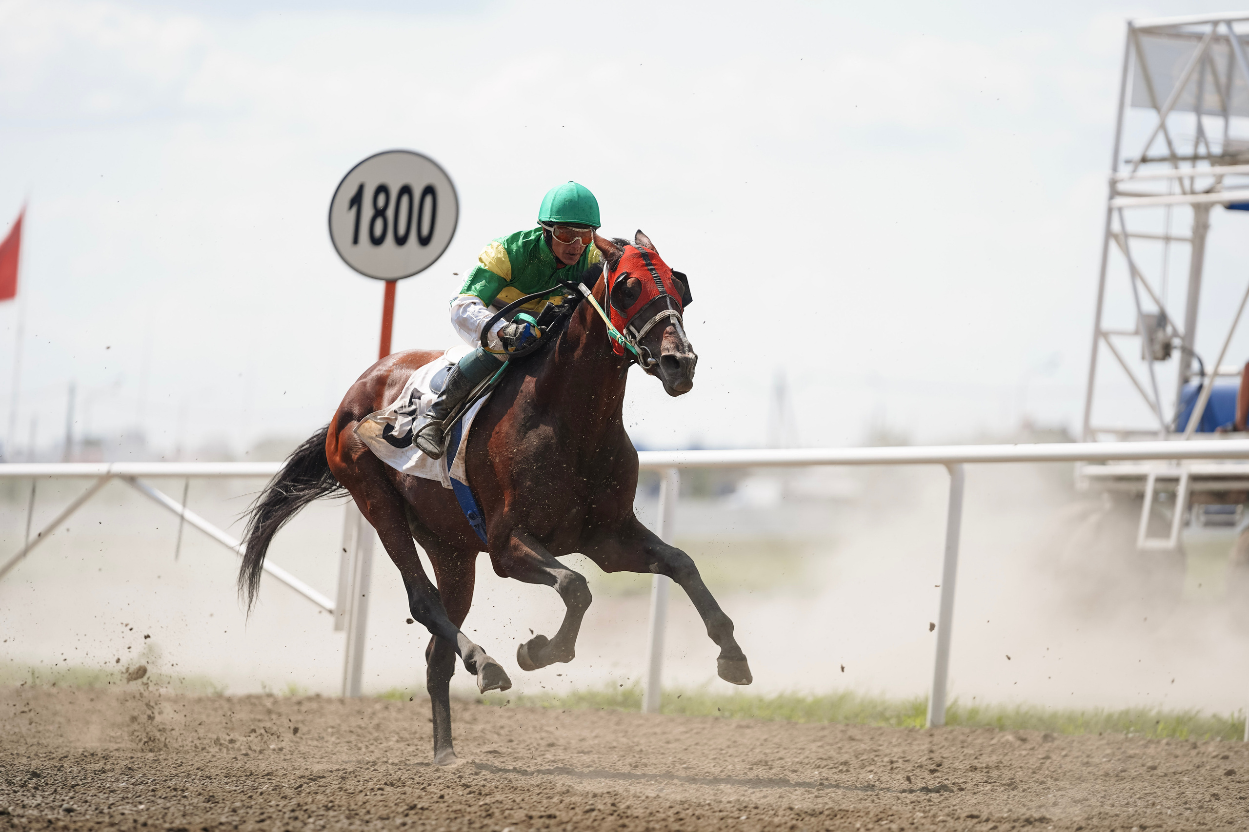 Скачки. Фотограф с психологическим образованием