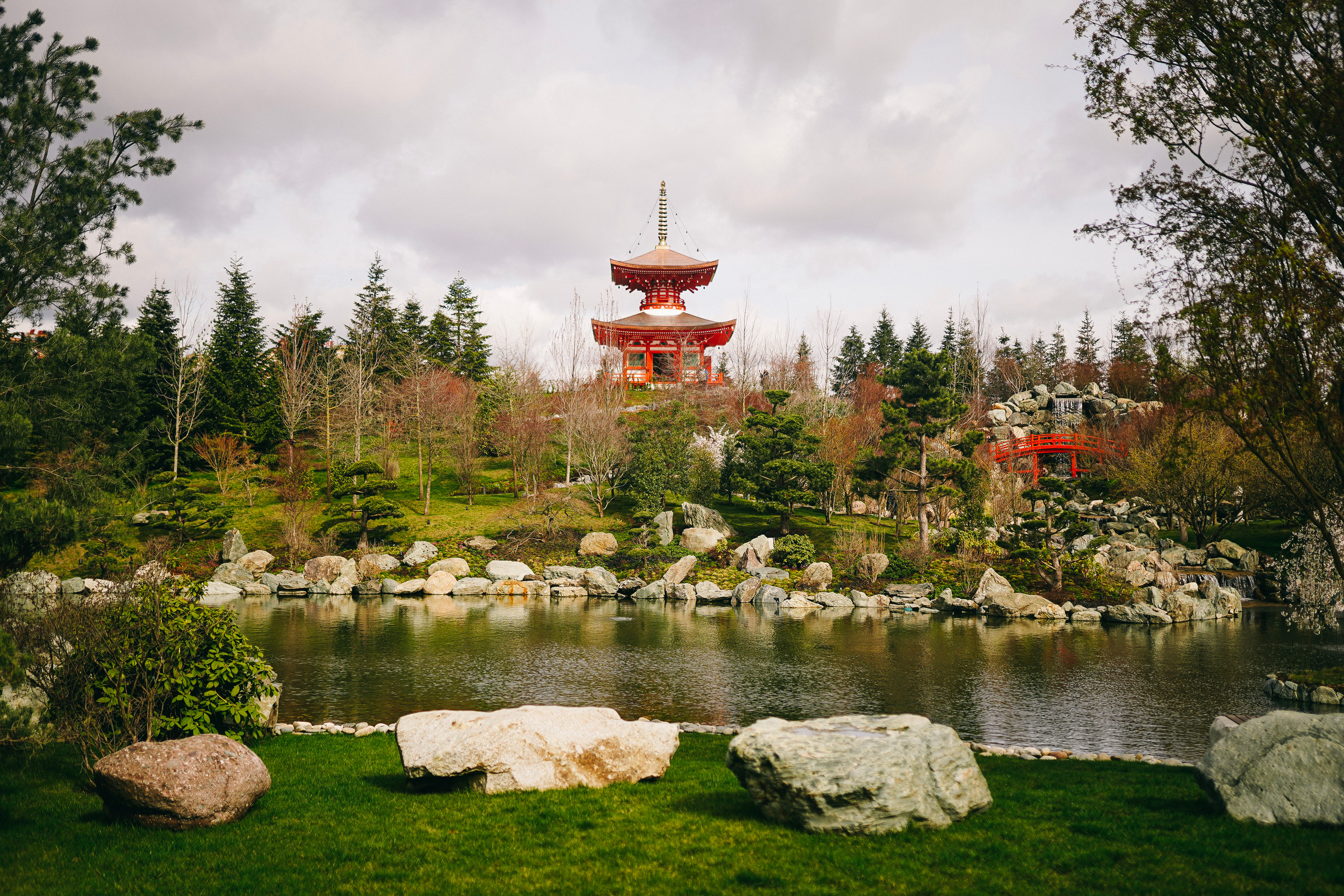 Японский сад. Фотограф с психологическим образованием