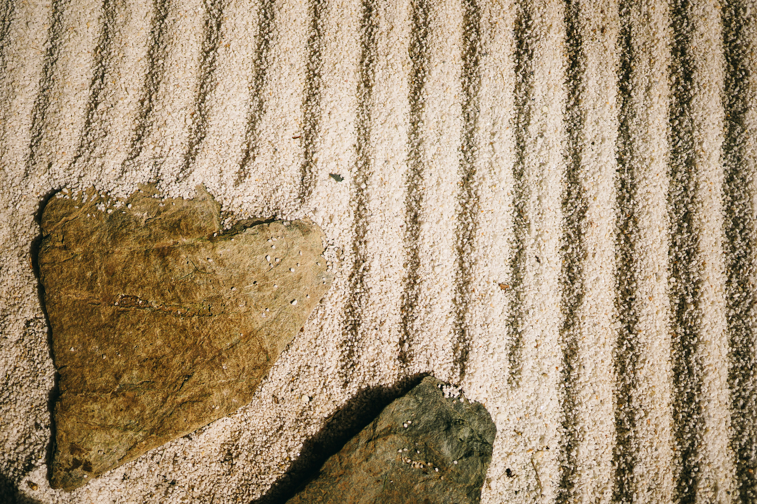 Японский сад. Фотограф с психологическим образованием