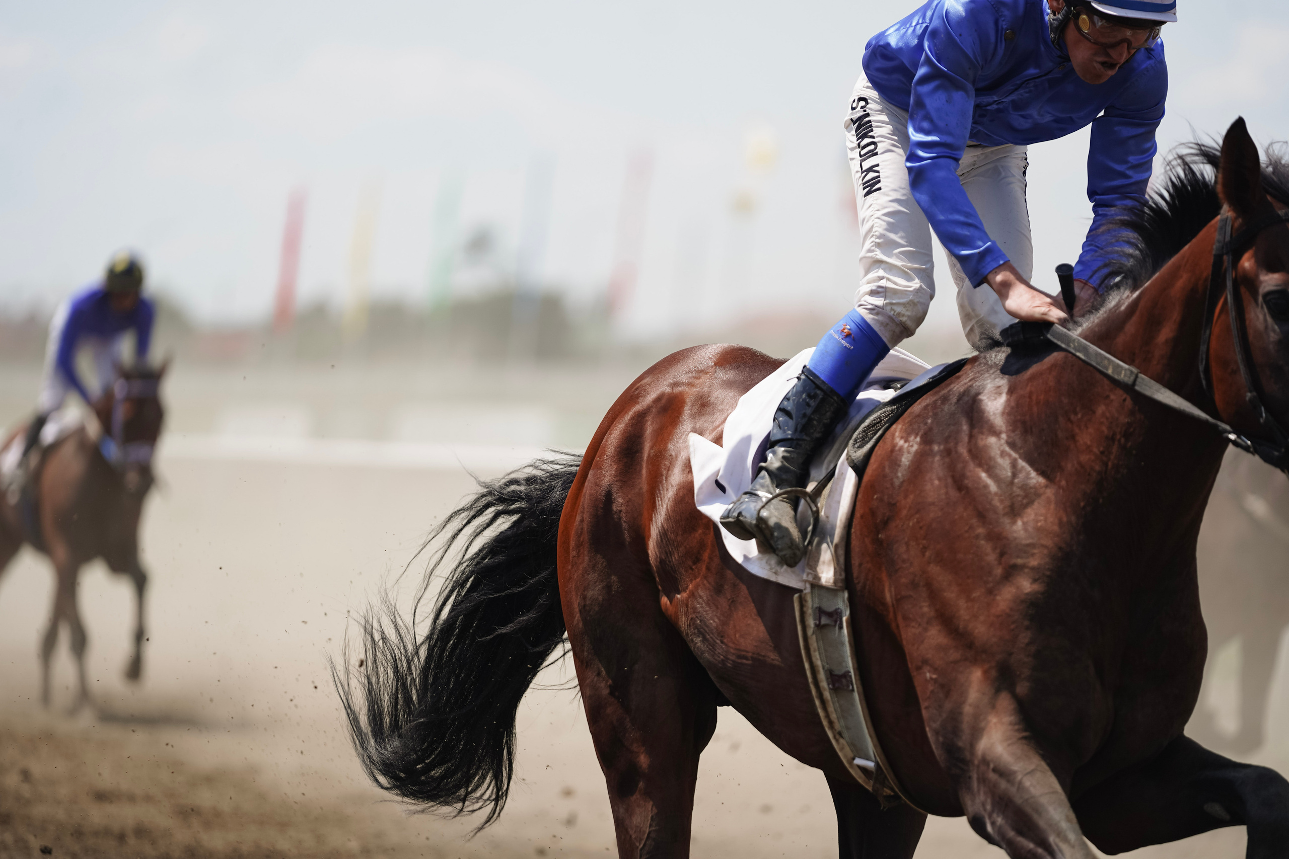 Скачки. Фотограф с психологическим образованием