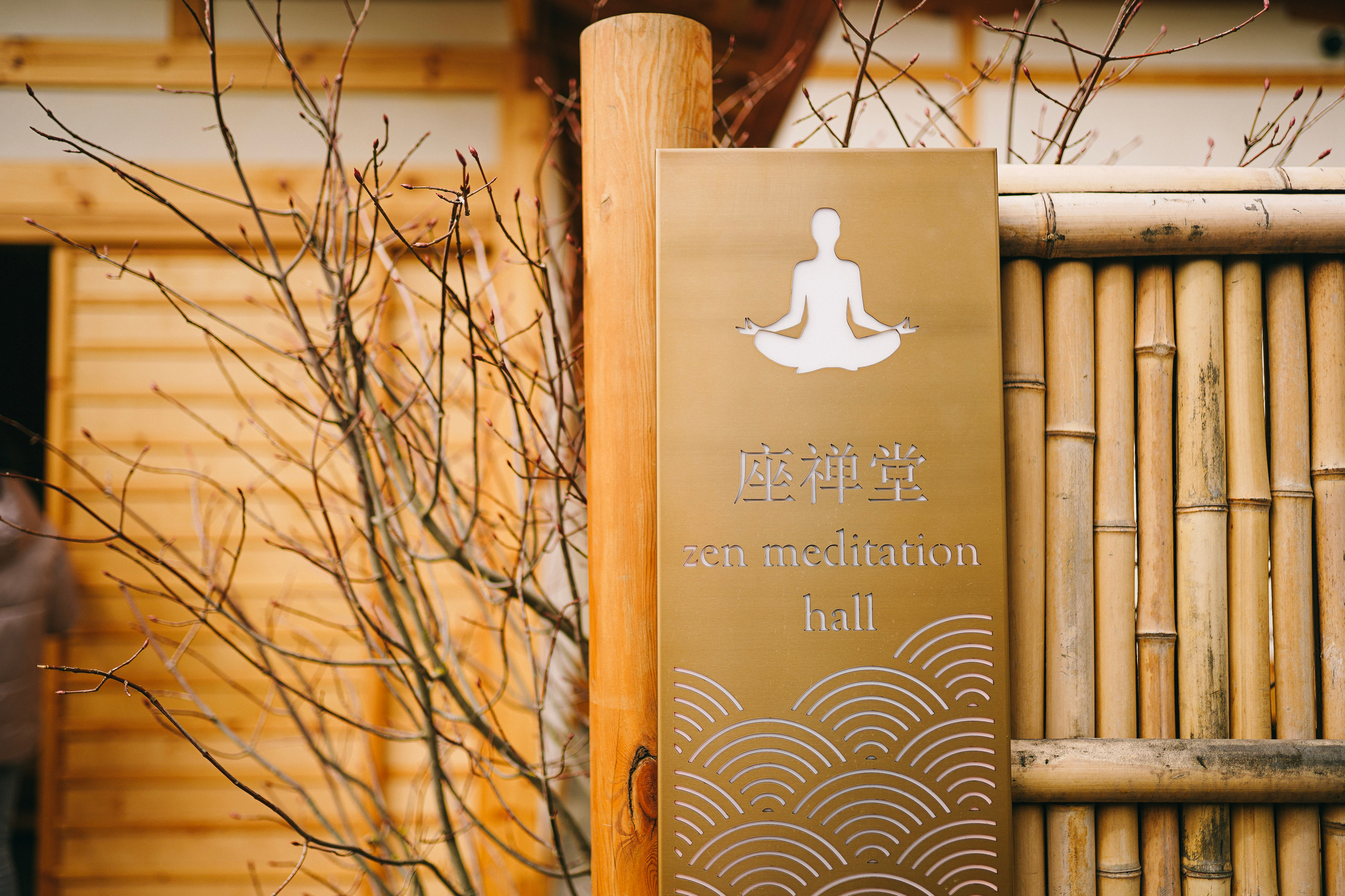 Японский сад. Фотограф с психологическим образованием