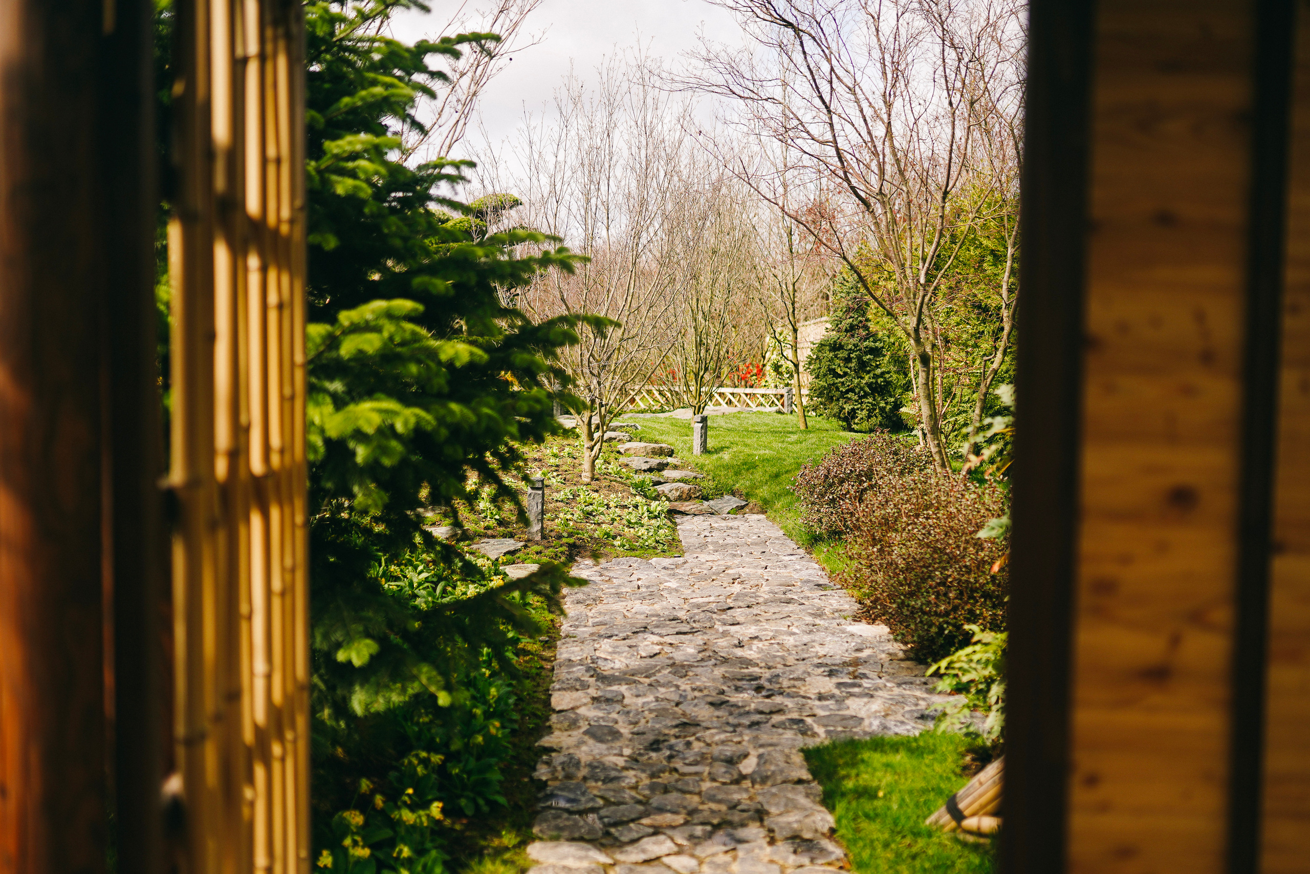 Японский сад. Фотограф с психологическим образованием