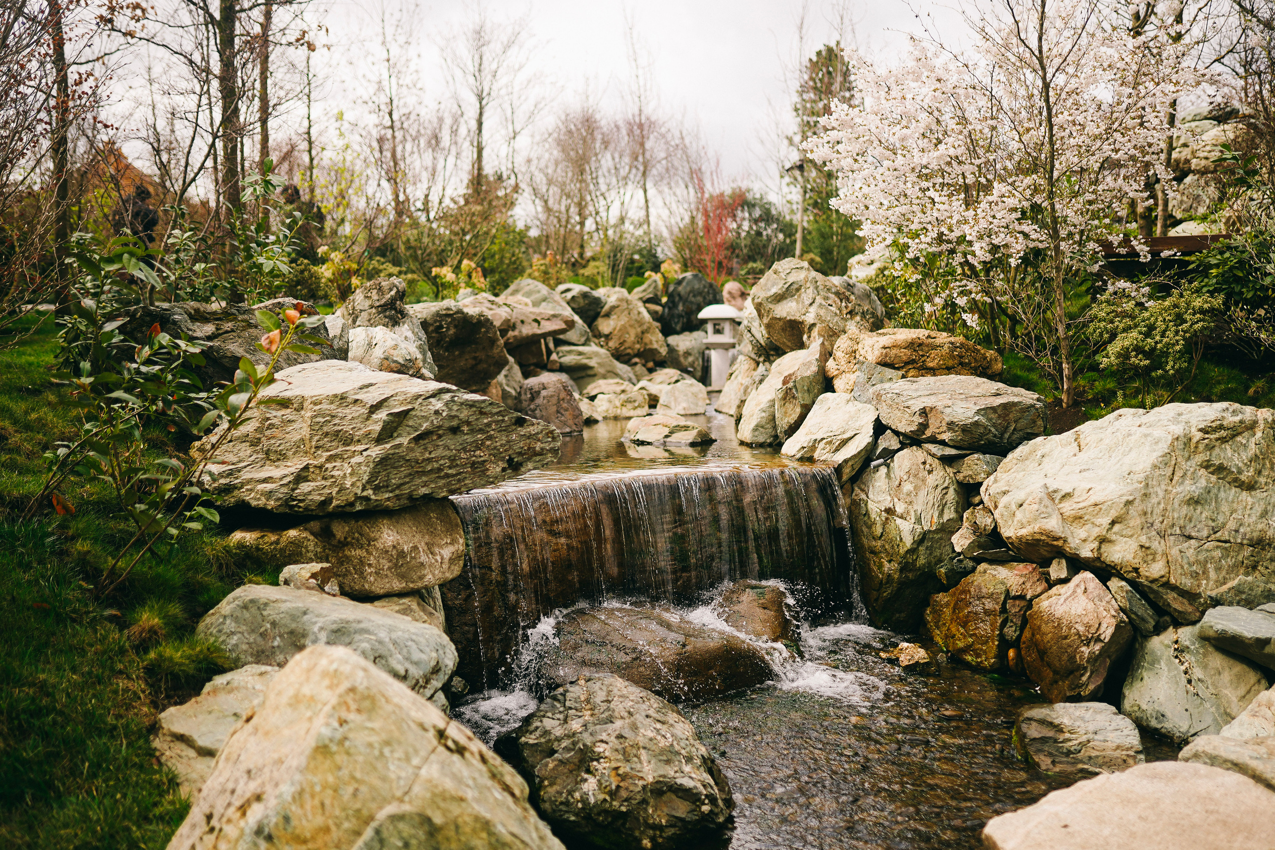 Японский сад. Фотограф с психологическим образованием