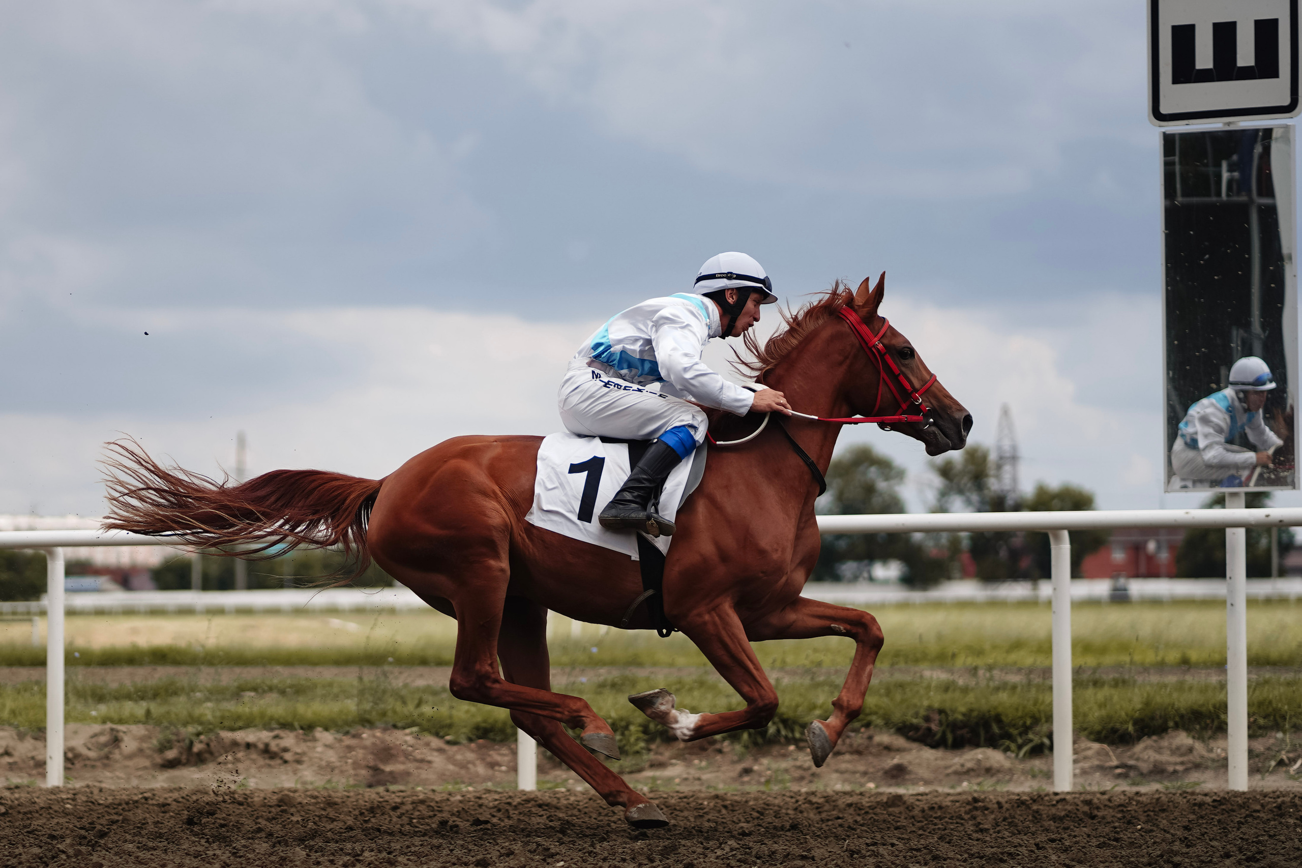 Скачки. Фотограф с психологическим образованием