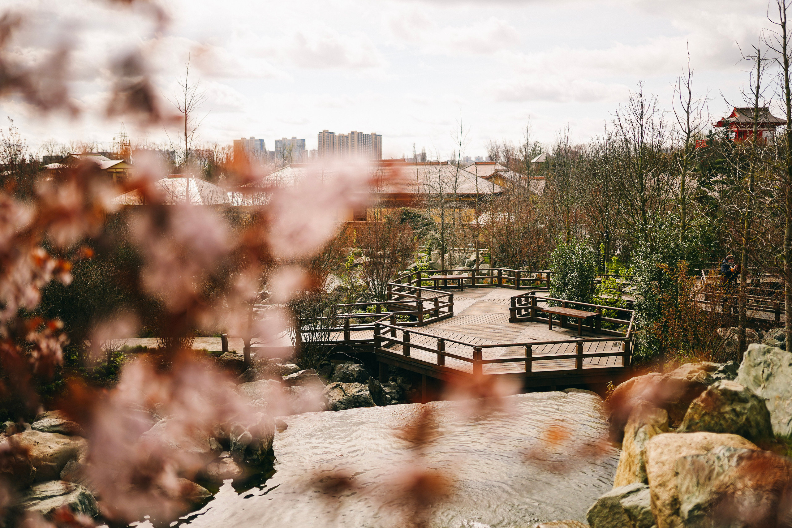 Японский сад. Фотограф с психологическим образованием