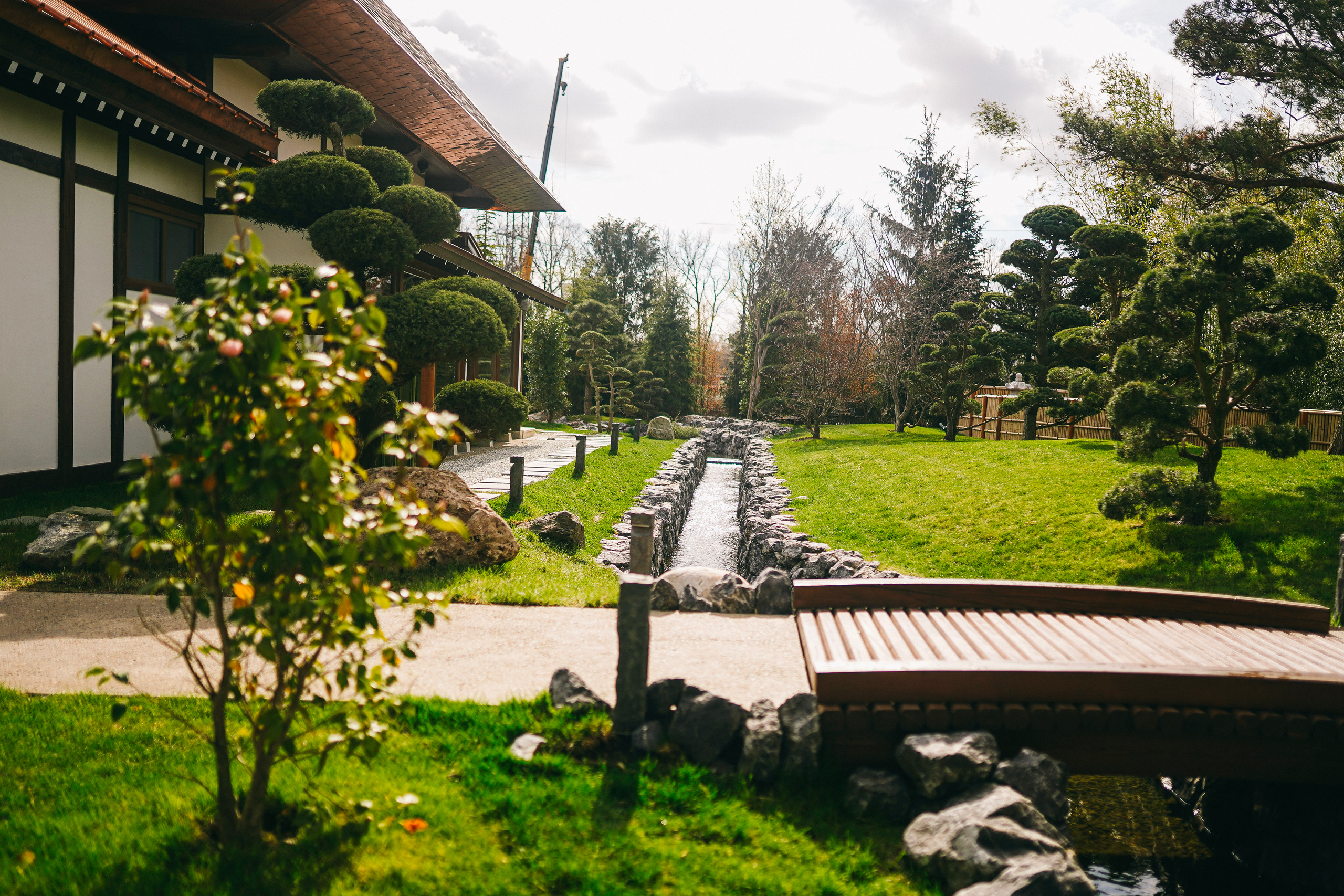 Японский сад. Фотограф с психологическим образованием