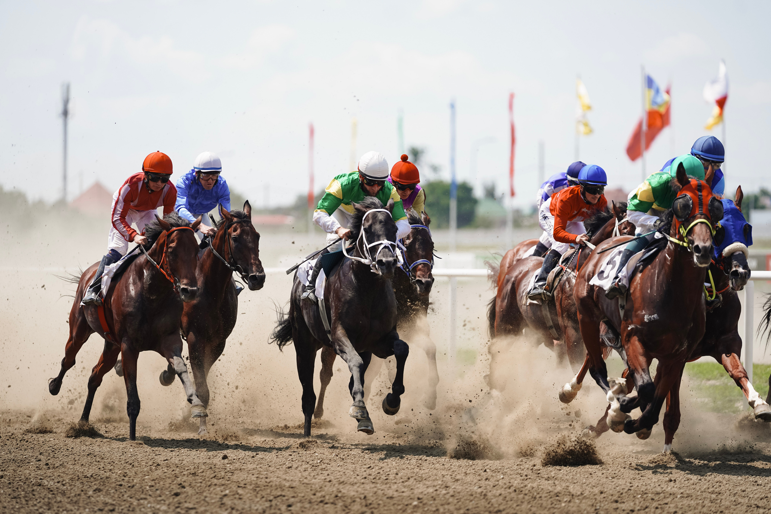 Скачки. Фотограф с психологическим образованием