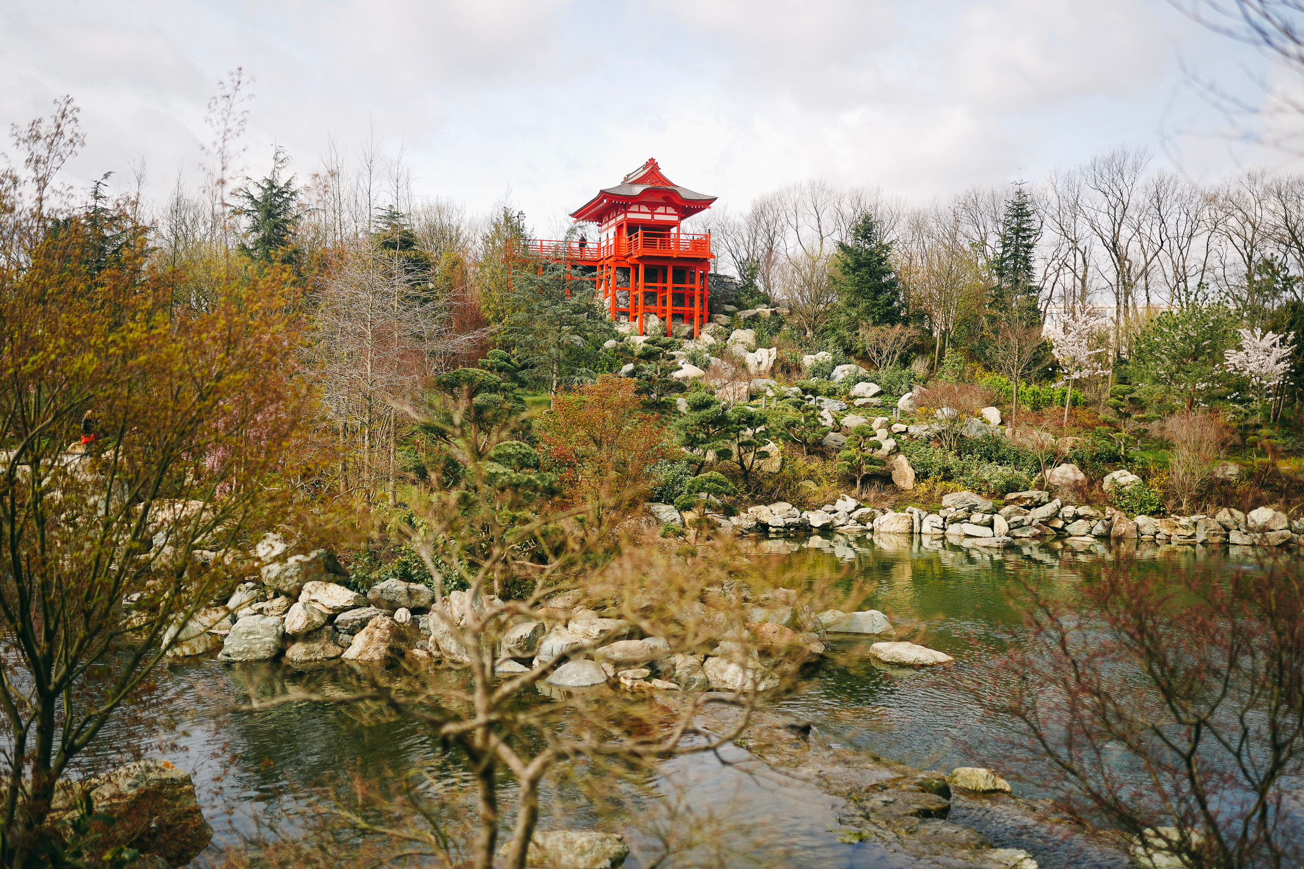 Японский сад. Фотограф с психологическим образованием