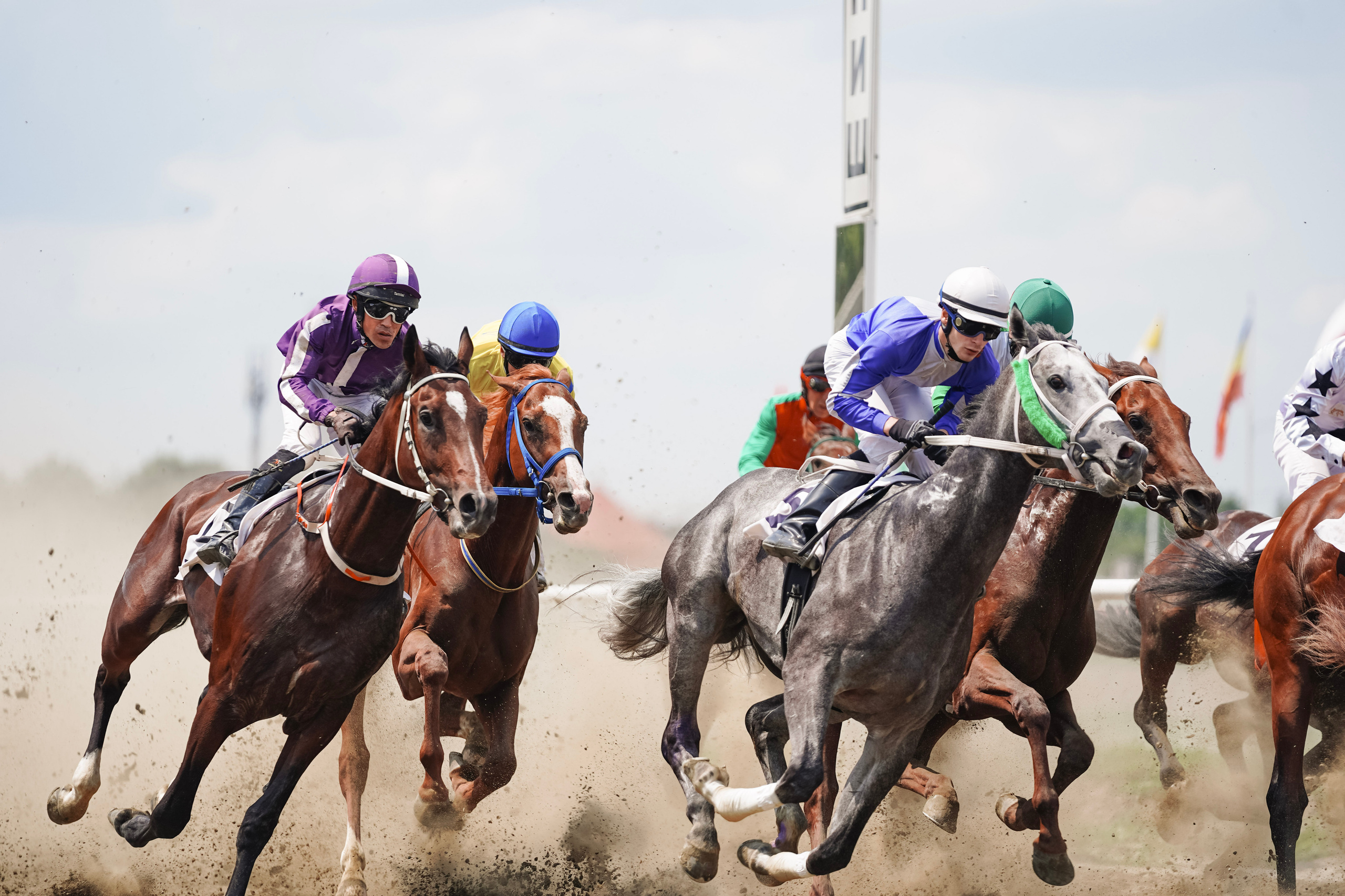 Скачки. Фотограф с психологическим образованием