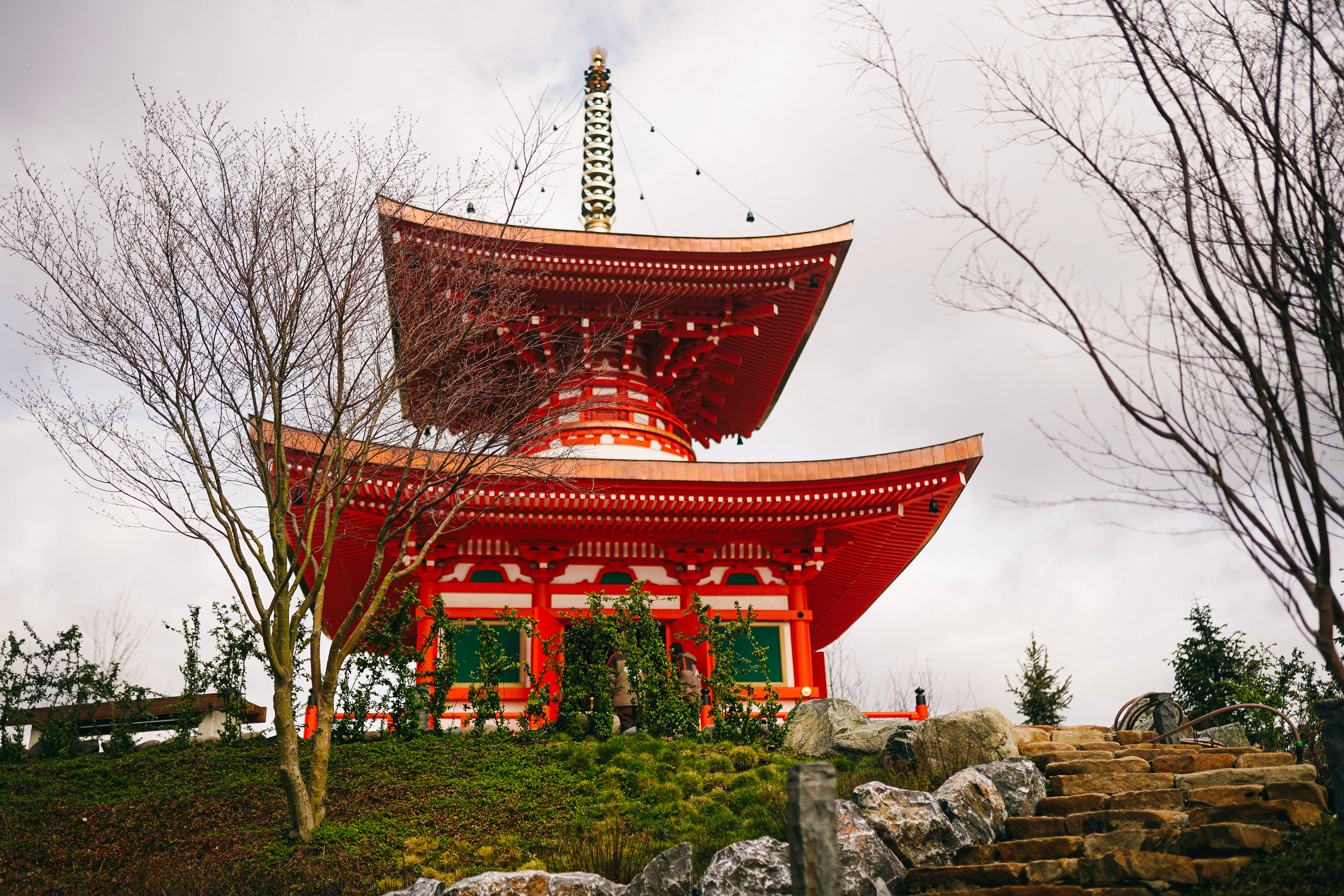 Японский сад. Фотограф с психологическим образованием