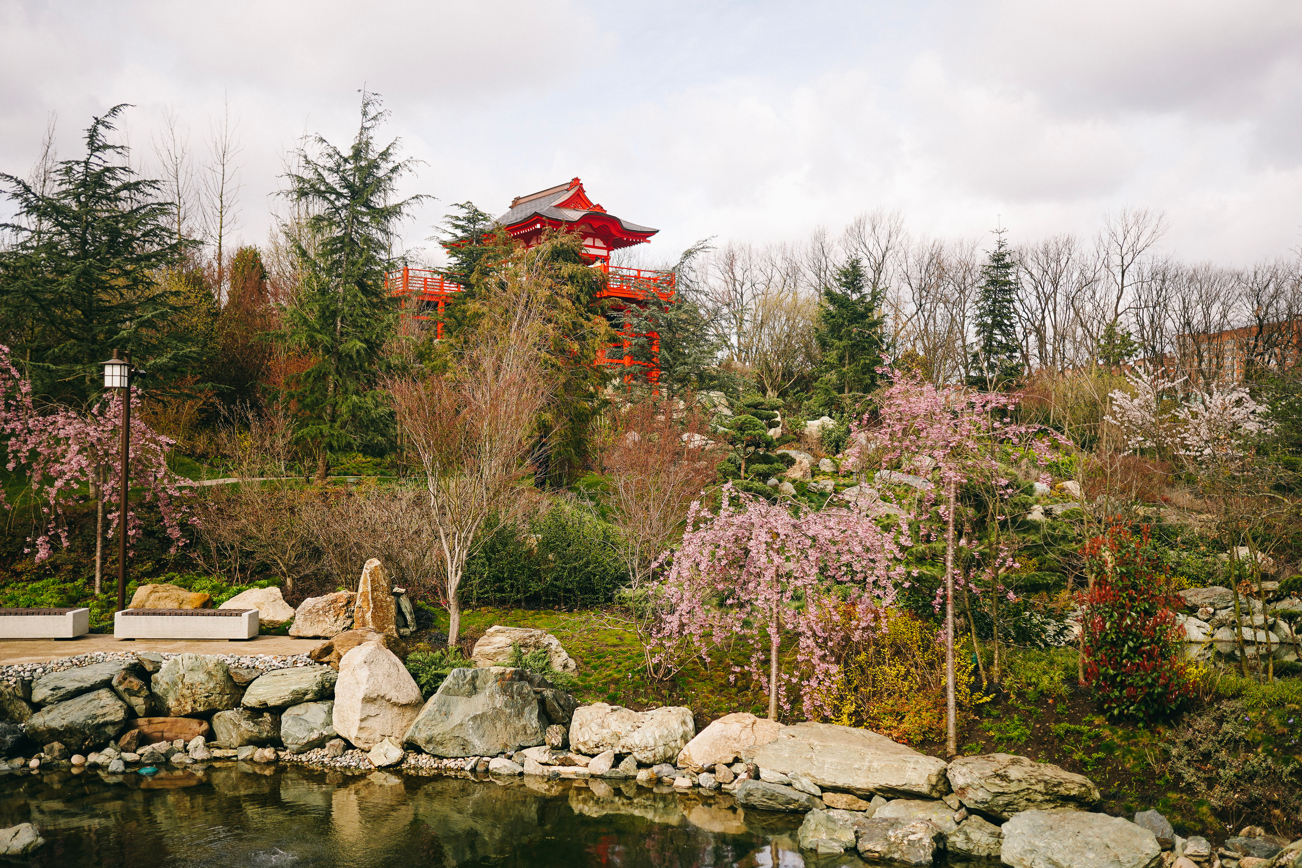 Японский сад. Фотограф с психологическим образованием