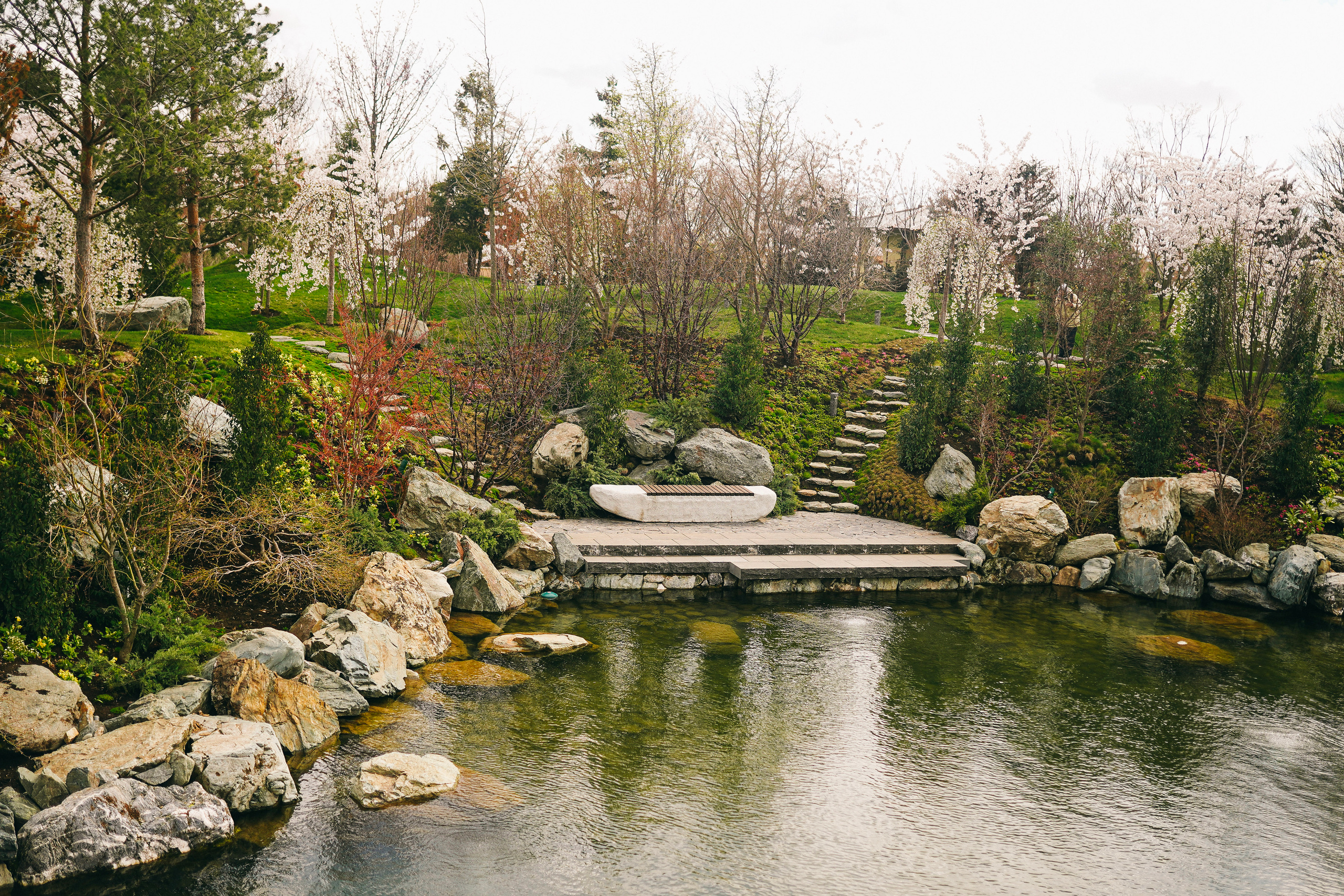Японский сад. Фотограф с психологическим образованием