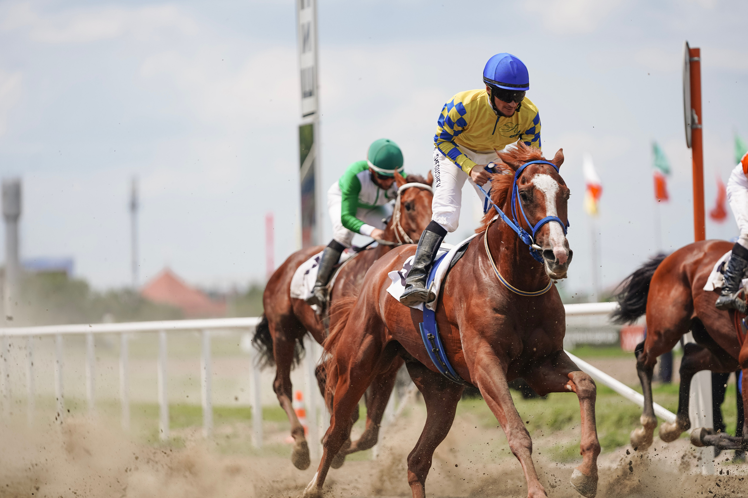 Скачки. Фотограф с психологическим образованием