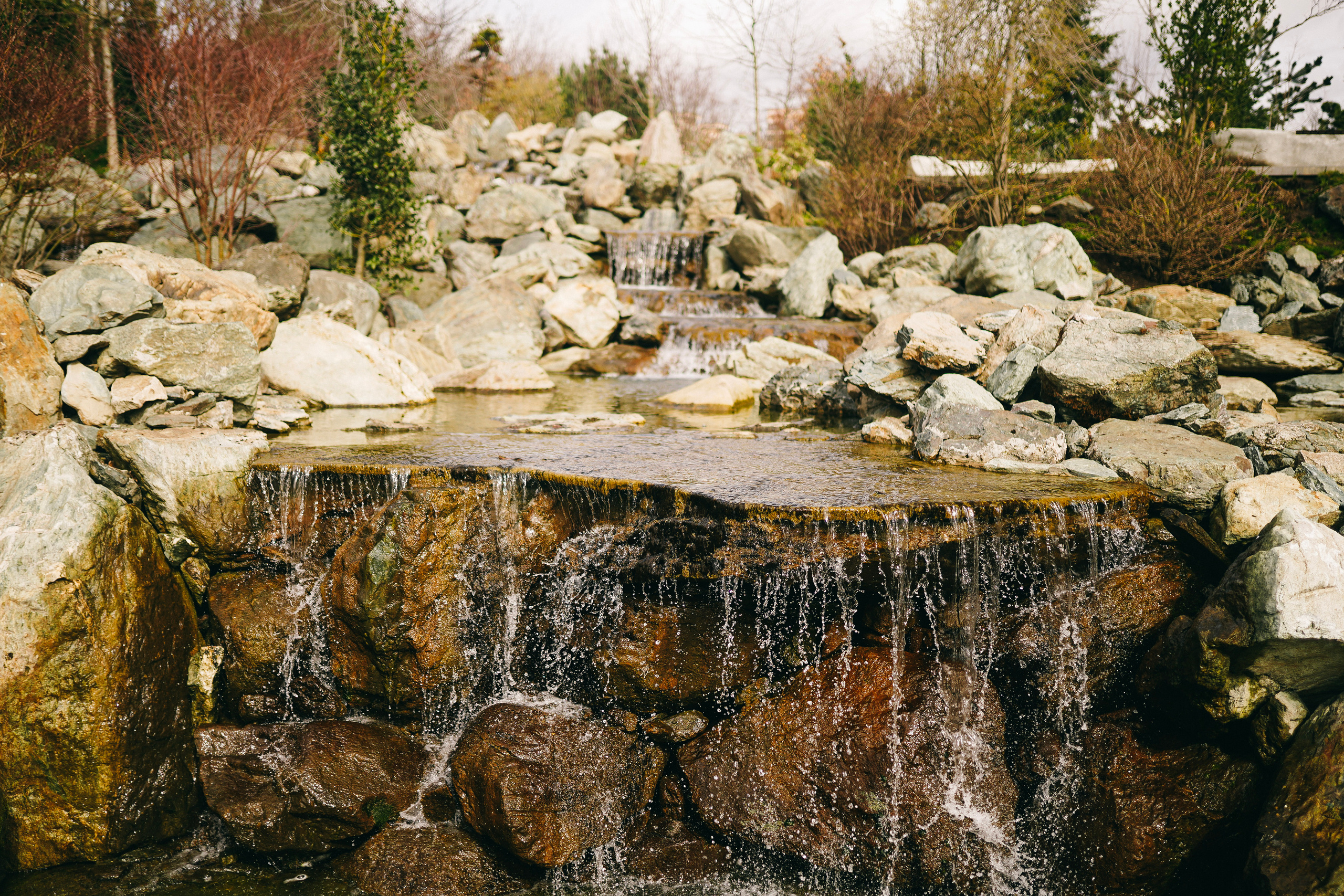 Японский сад. Фотограф с психологическим образованием