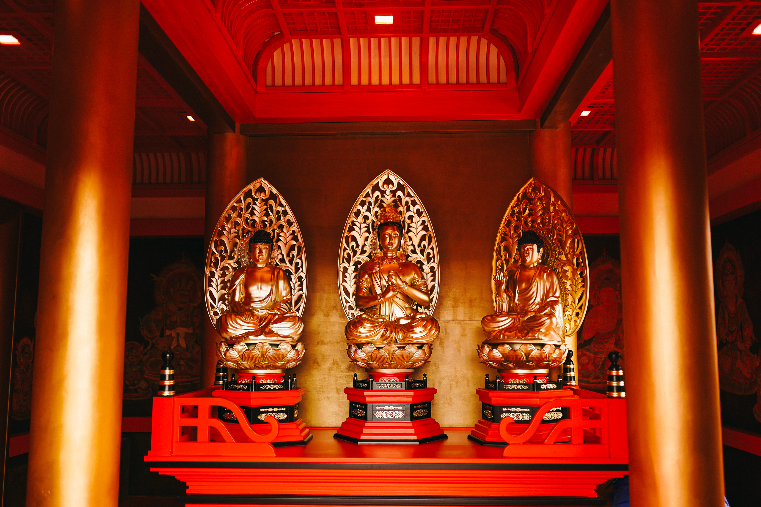 Японский сад. Фотограф с психологическим образованием