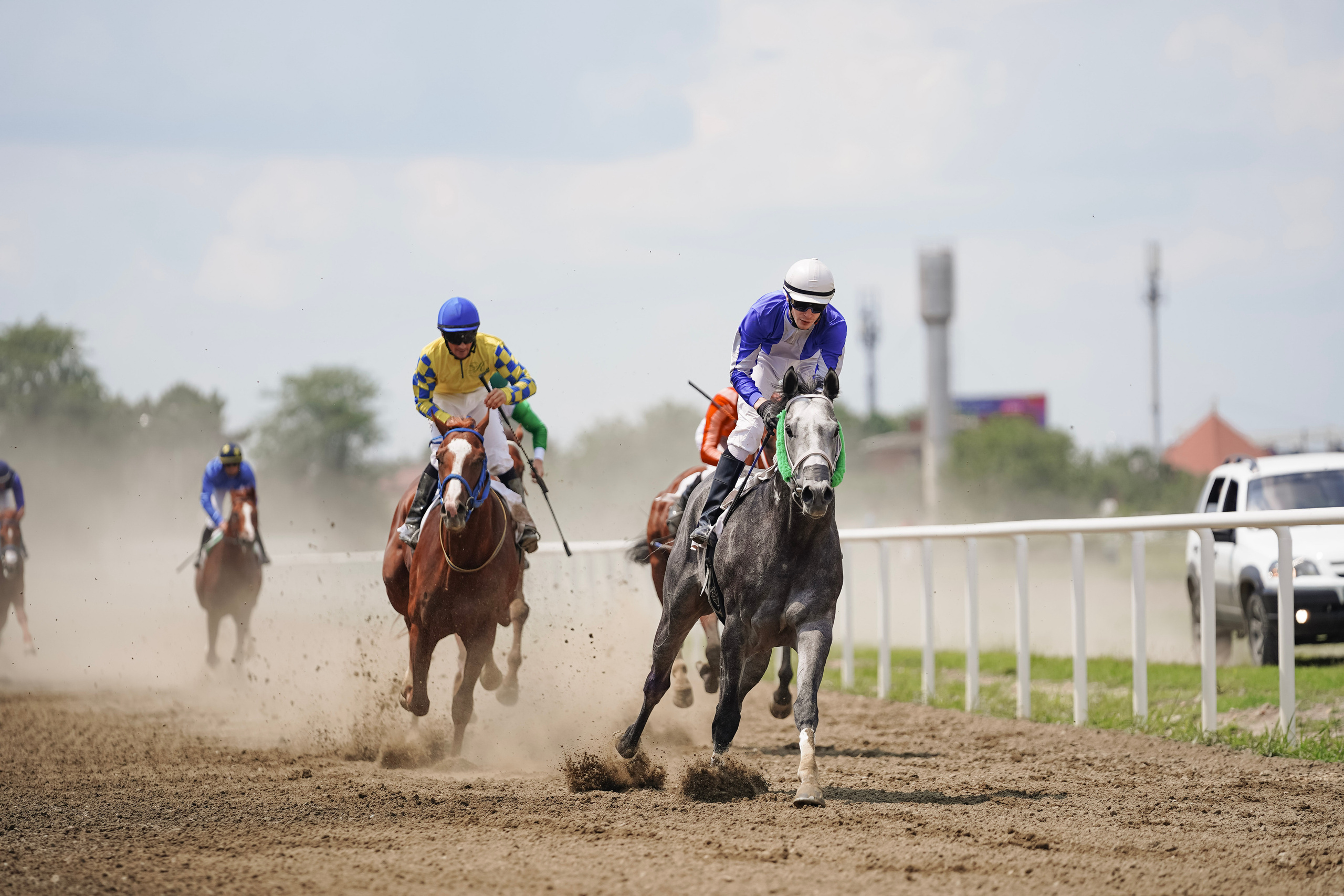 Скачки. Фотограф с психологическим образованием