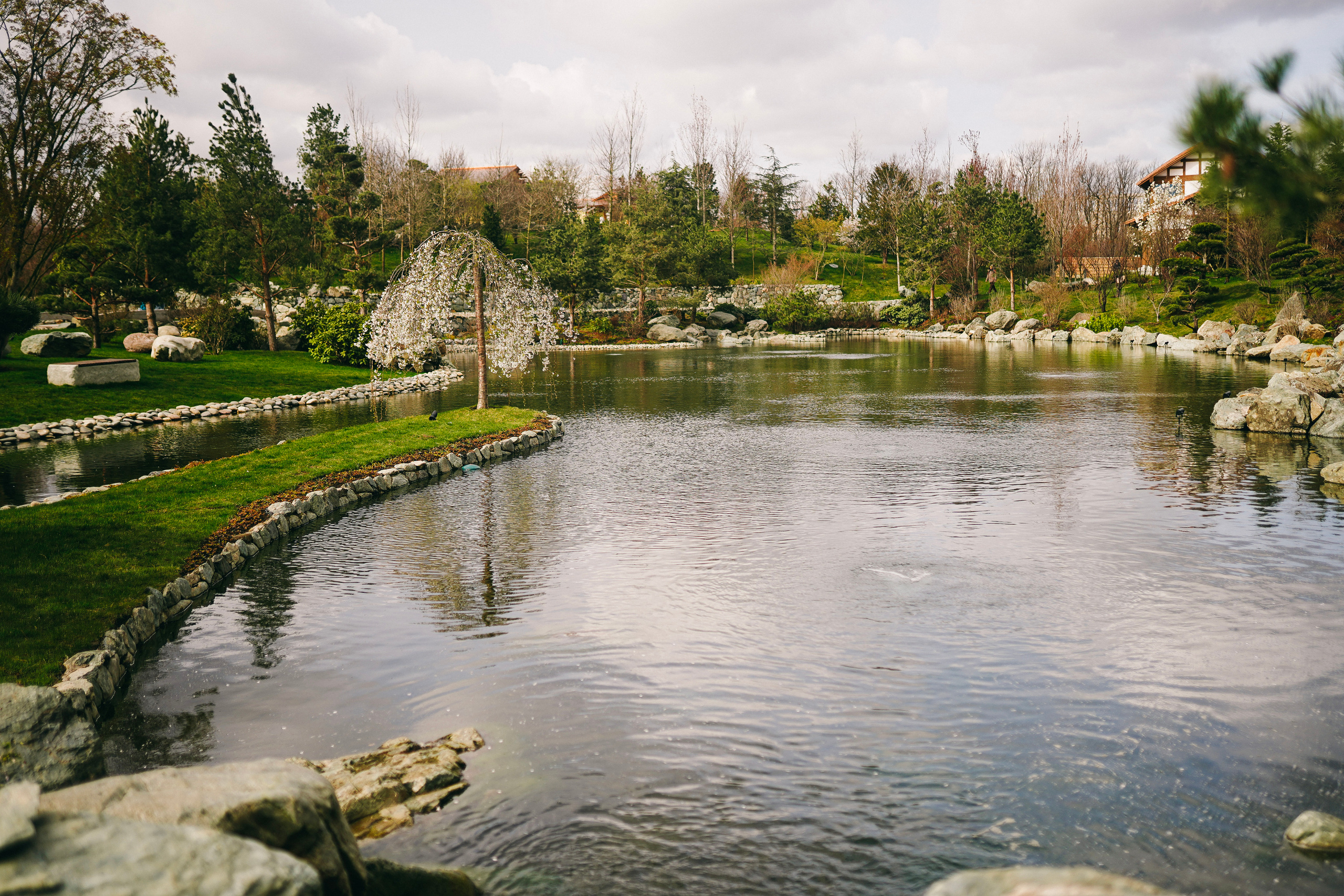 Японский сад. Фотограф с психологическим образованием