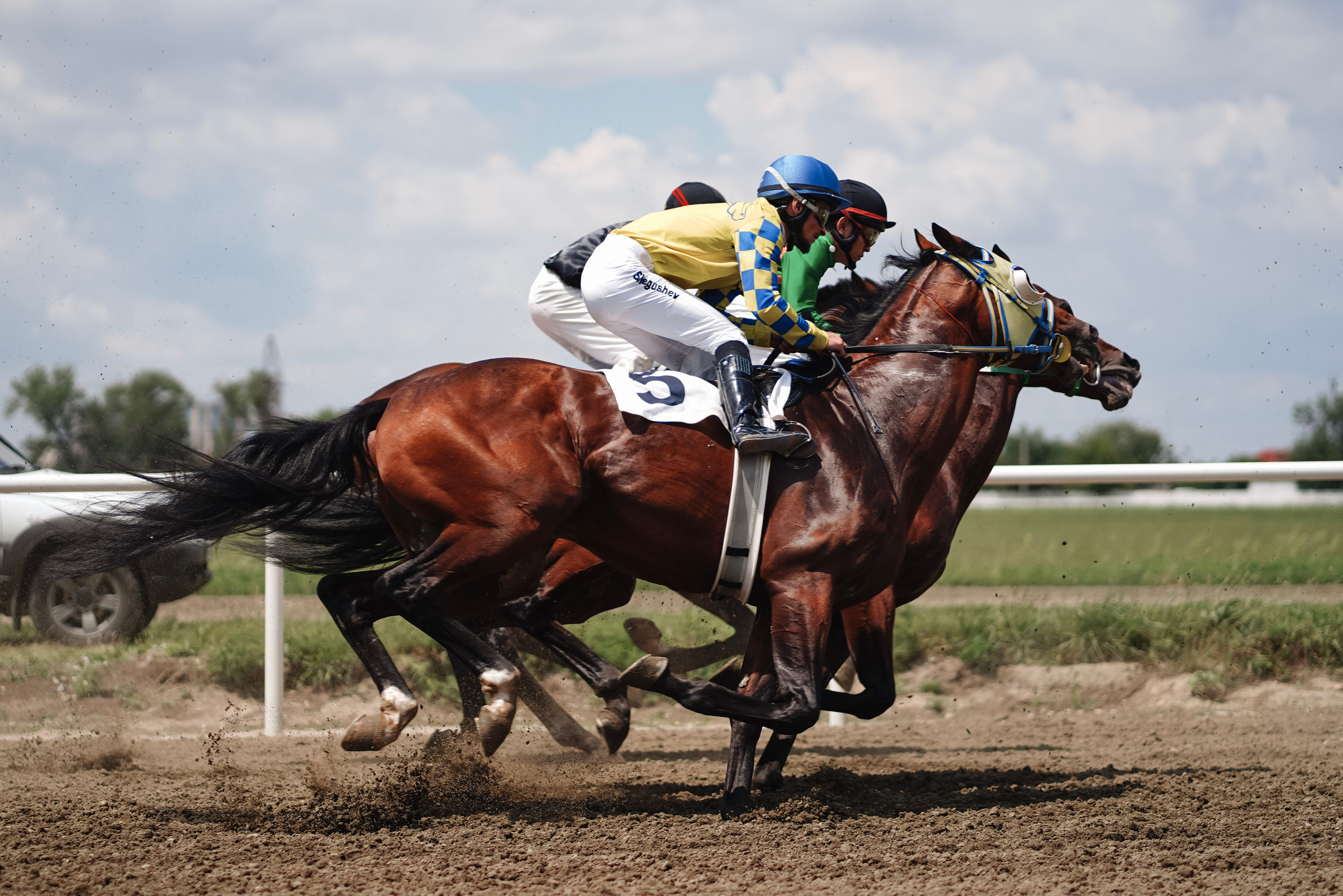 Скачки. Фотограф с психологическим образованием