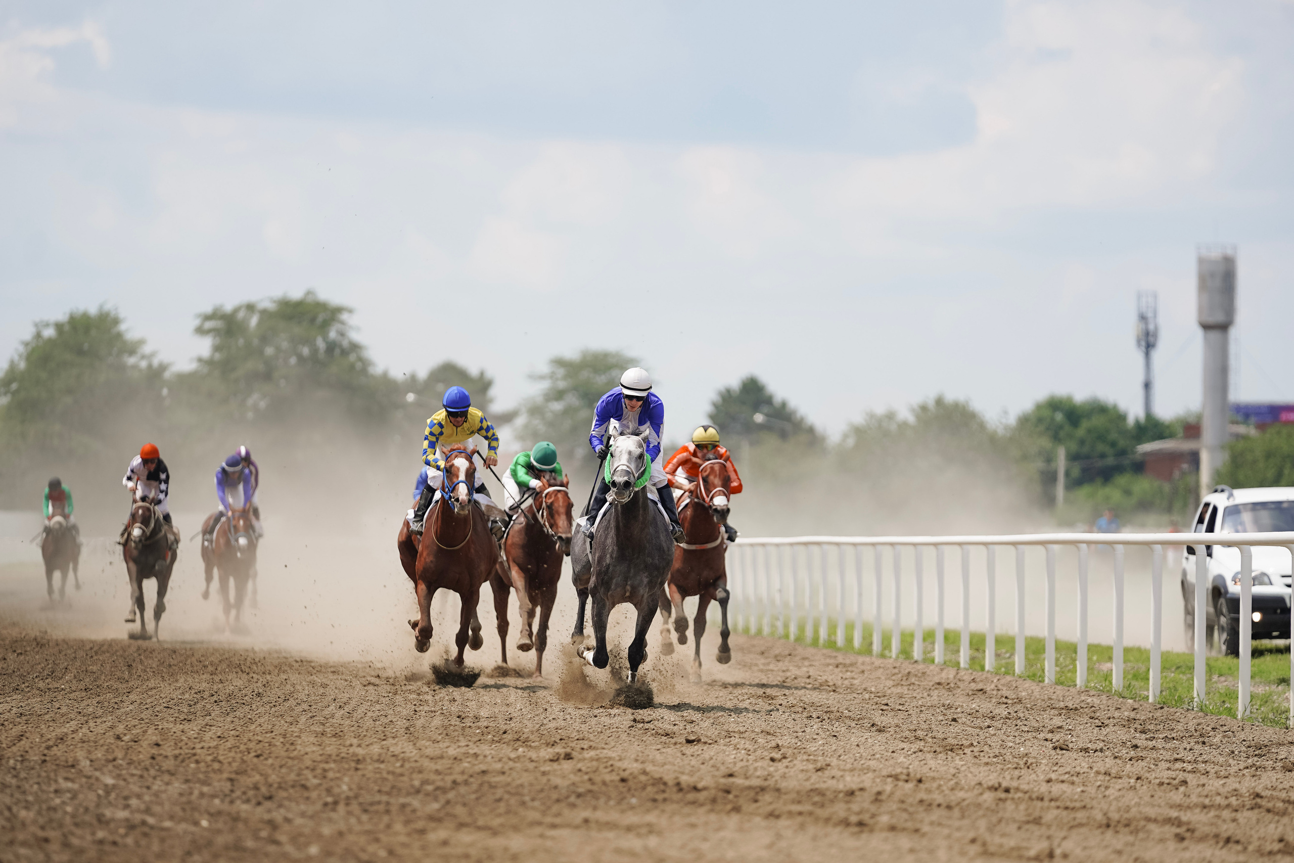 Скачки. Фотограф с психологическим образованием
