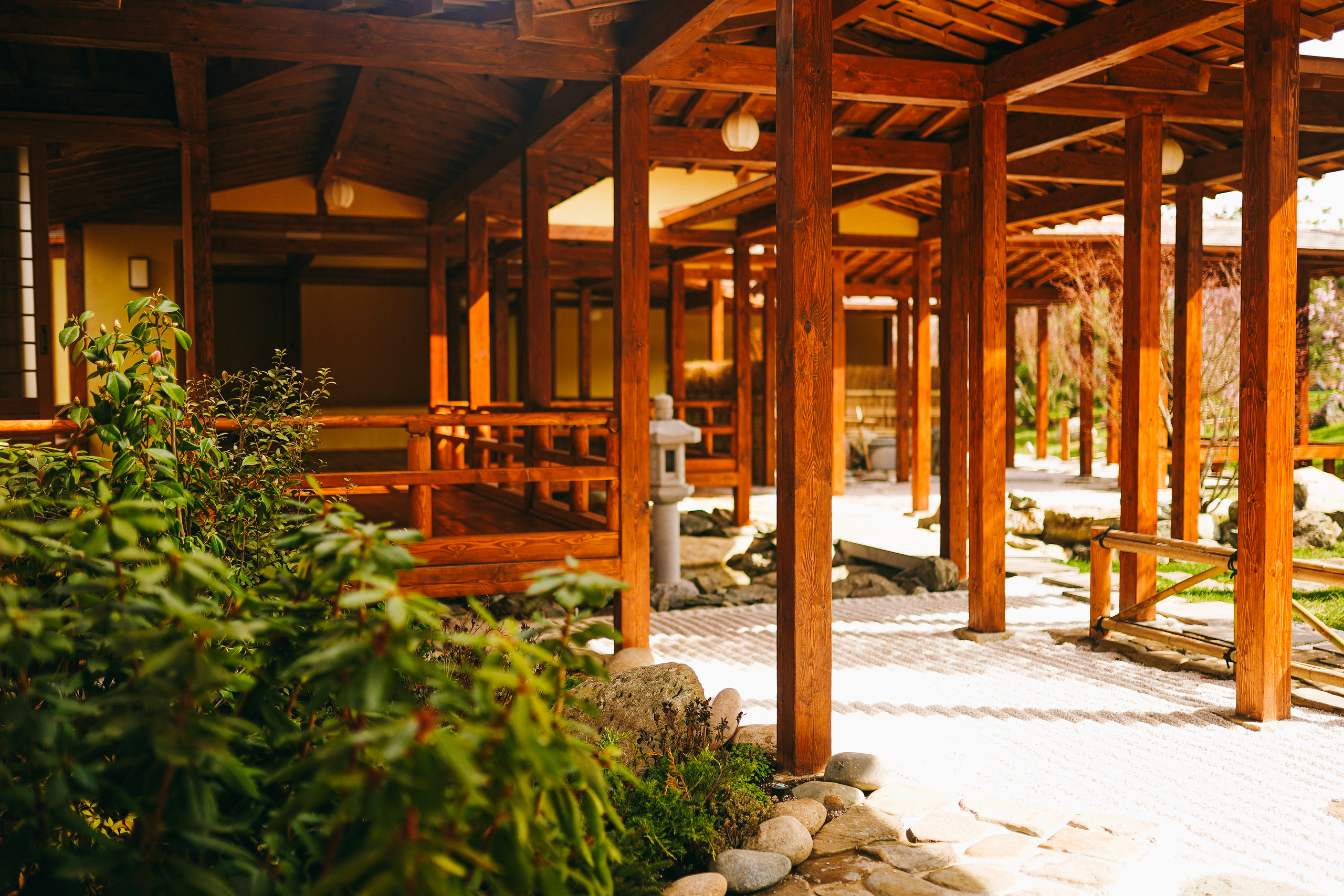 Японский сад. Фотограф с психологическим образованием