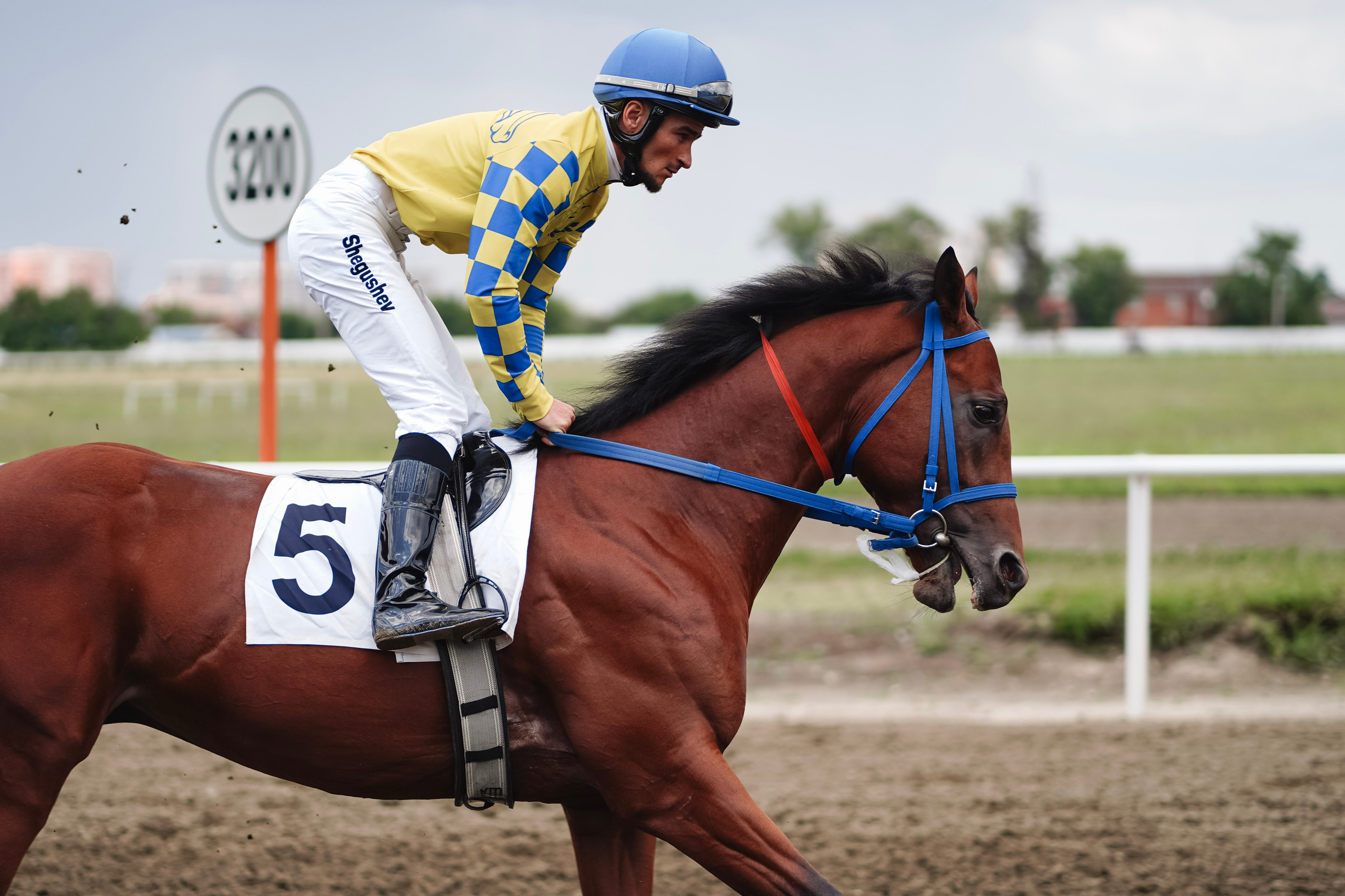 Скачки. Фотограф с психологическим образованием