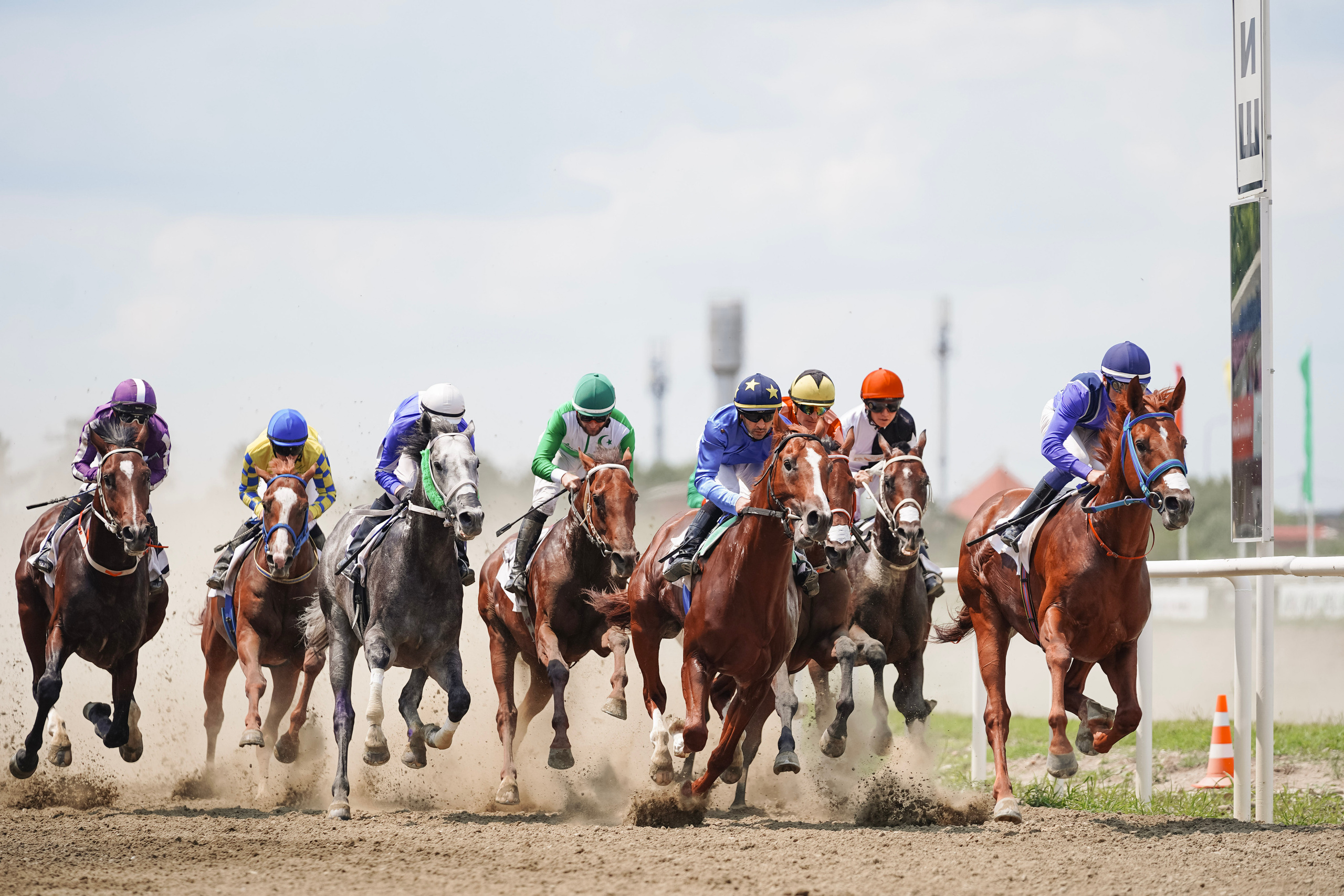 Скачки. Фотограф с психологическим образованием