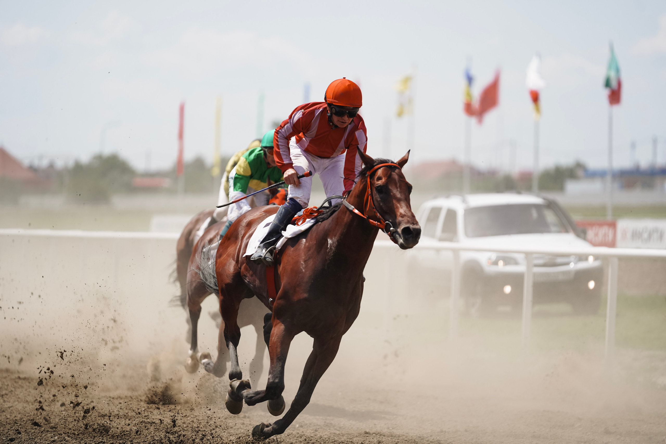 Скачки. Фотограф с психологическим образованием