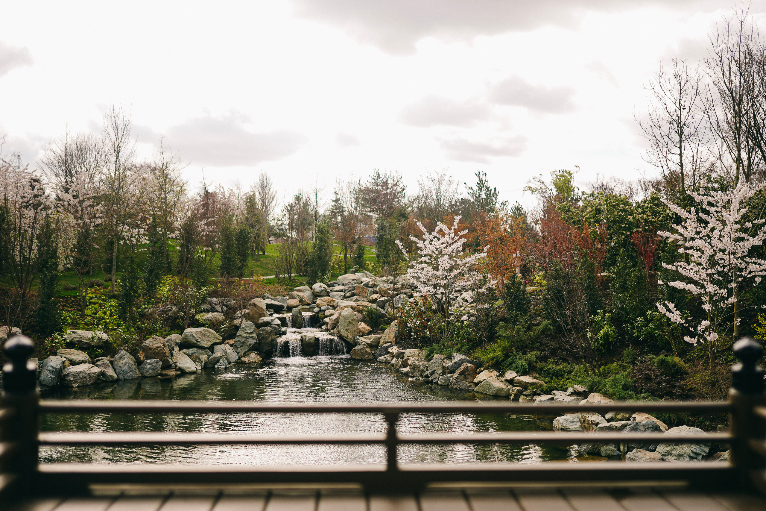 Японский сад. Фотограф с психологическим образованием