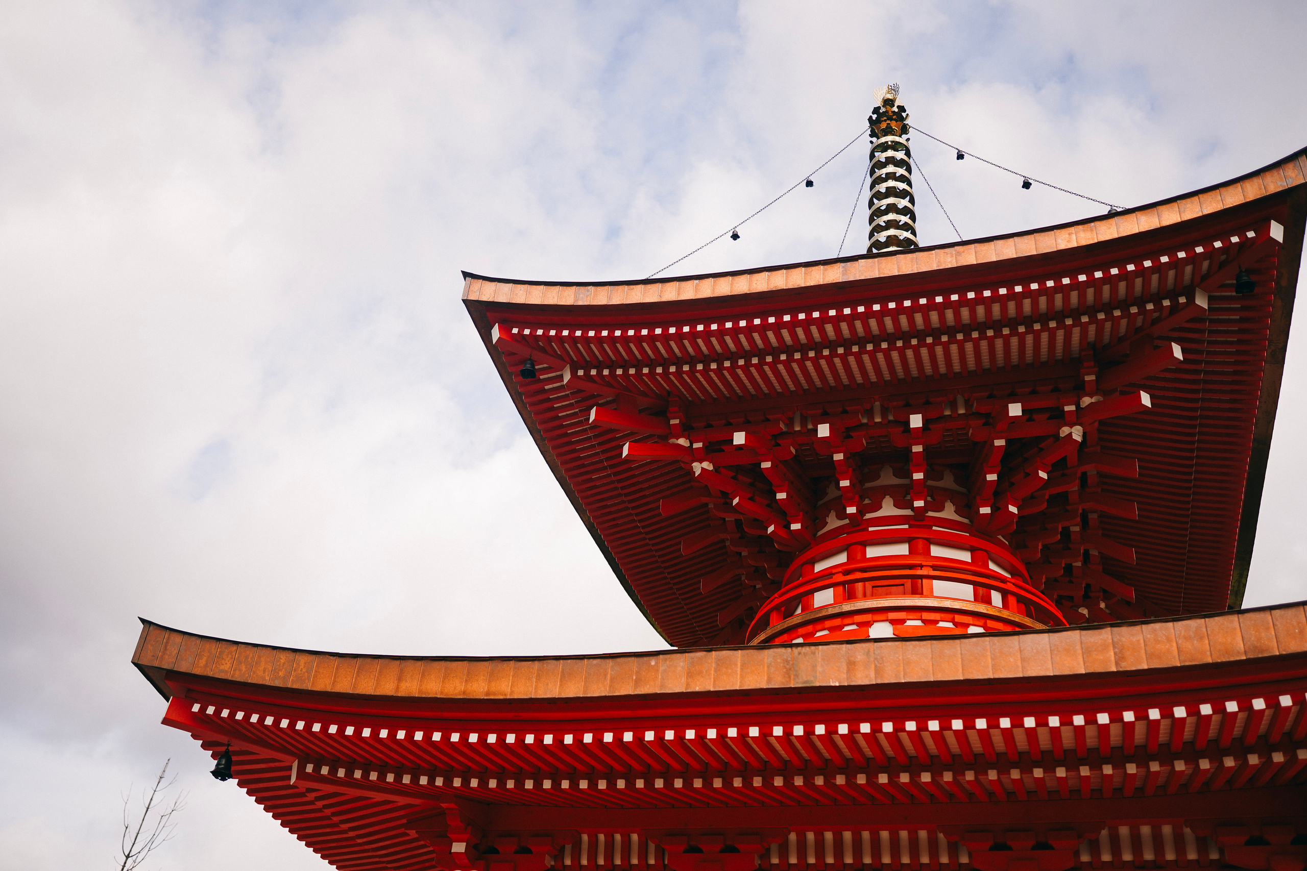 Японский сад. Фотограф с психологическим образованием