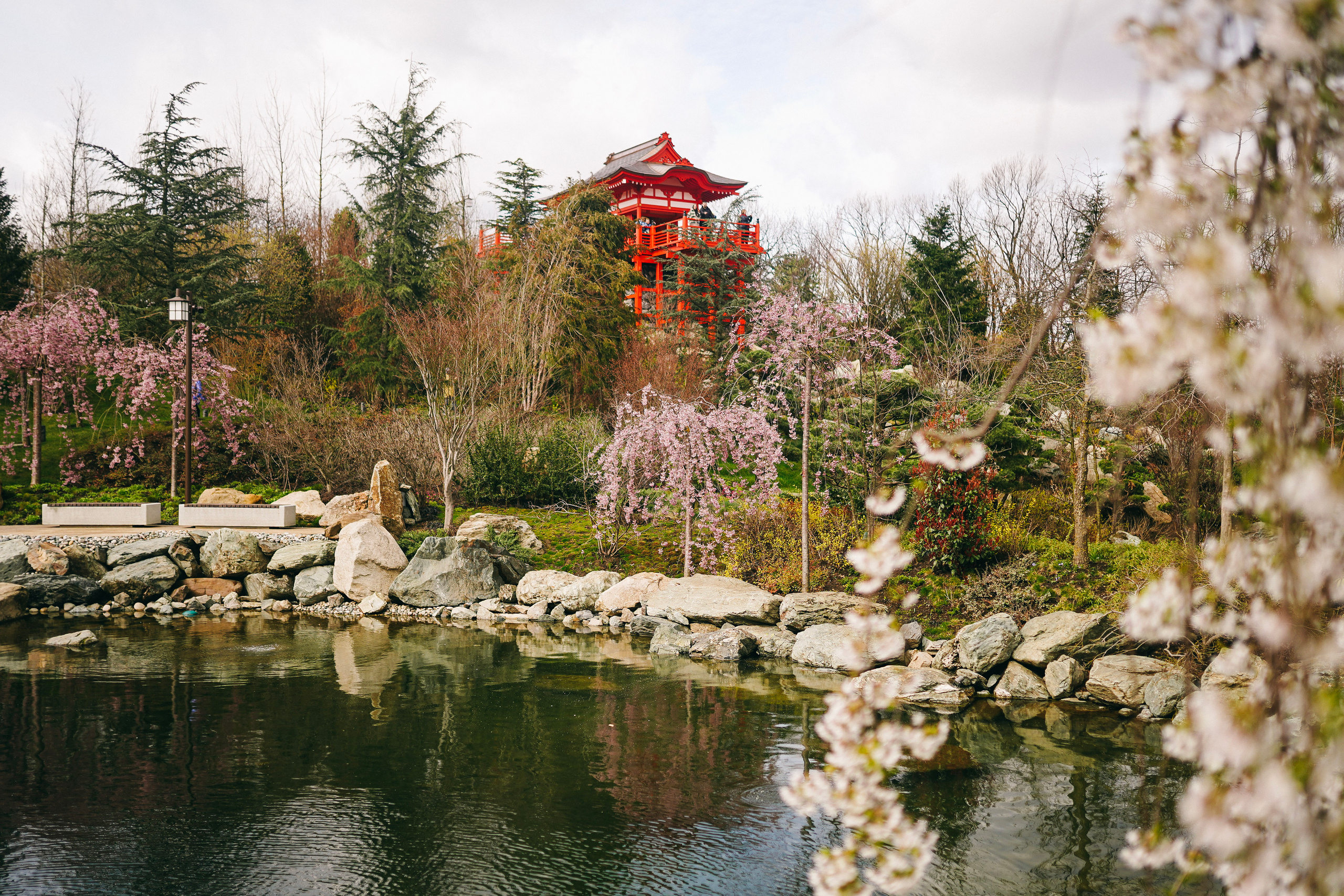 Японский сад. Фотограф с психологическим образованием