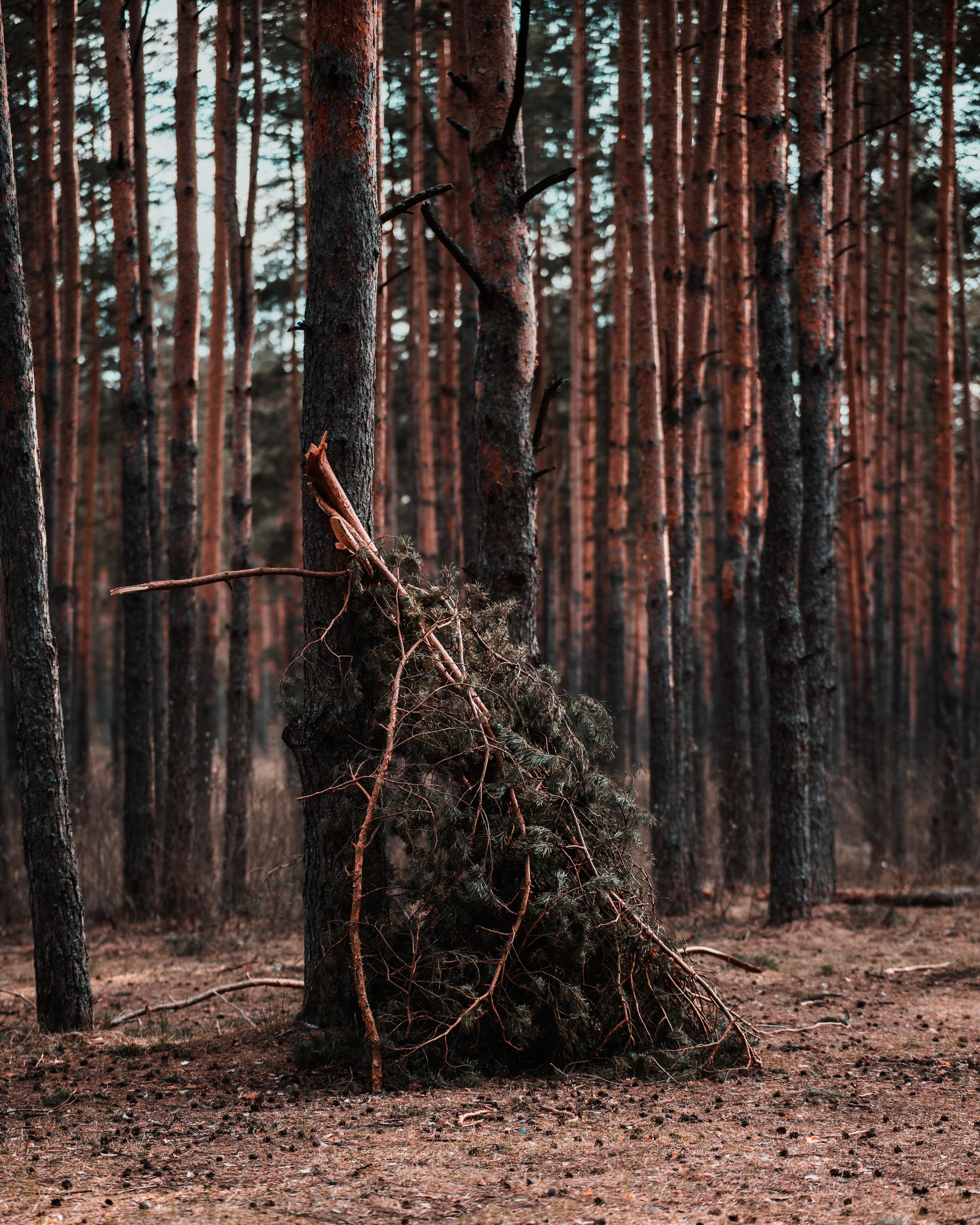Природа. Алексей Савельев — фотограф