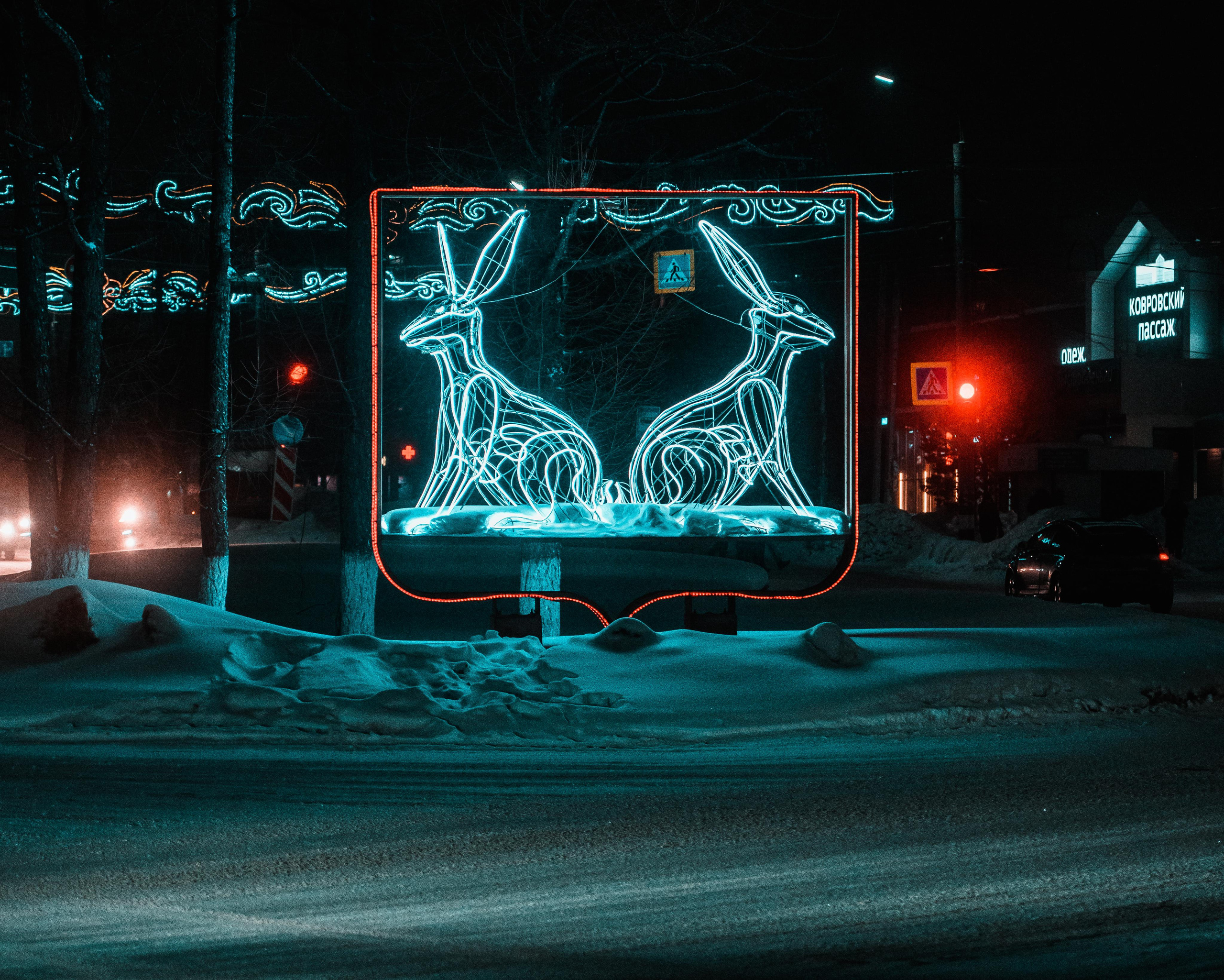 Природа. Алексей Савельев — фотограф