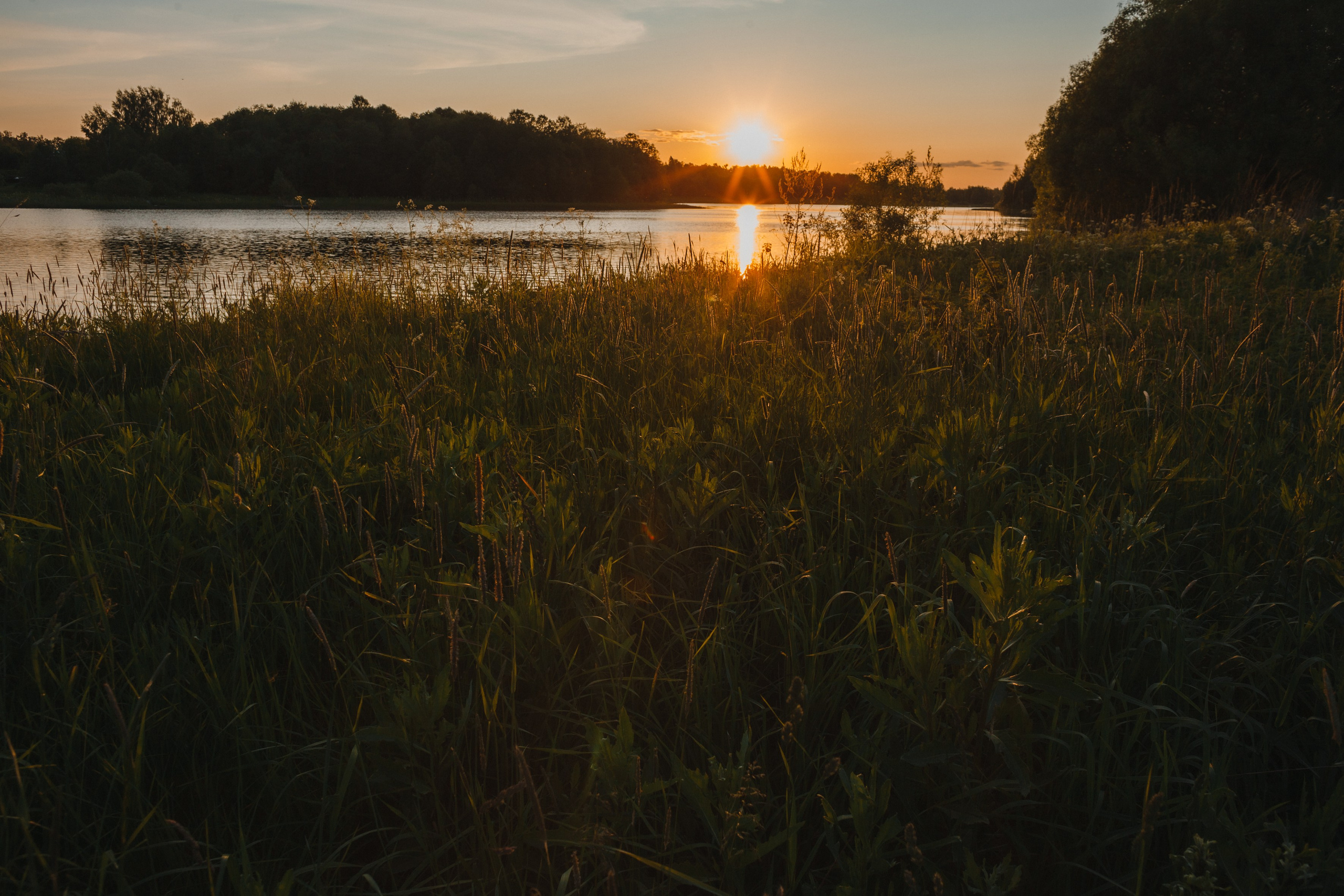 Невеста на закате (портрет). Портретный и репортажный фотограф в Москве, Ольга Ларема