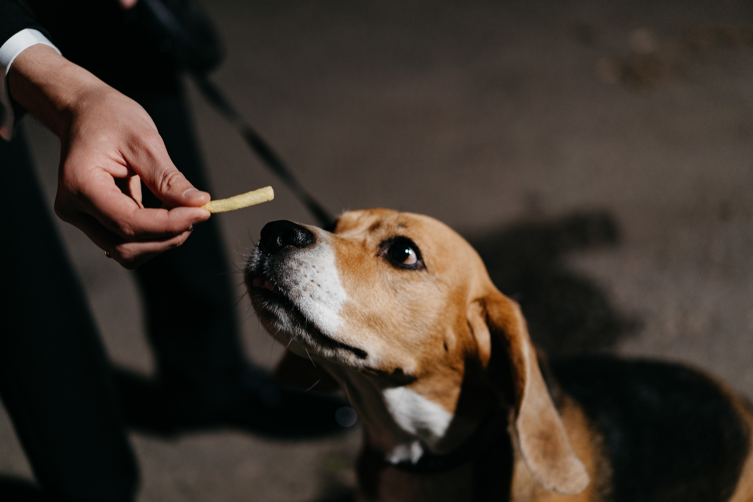 Алексей & Лиза. Свадебный и репортажный фотограф Юров Дмитрий