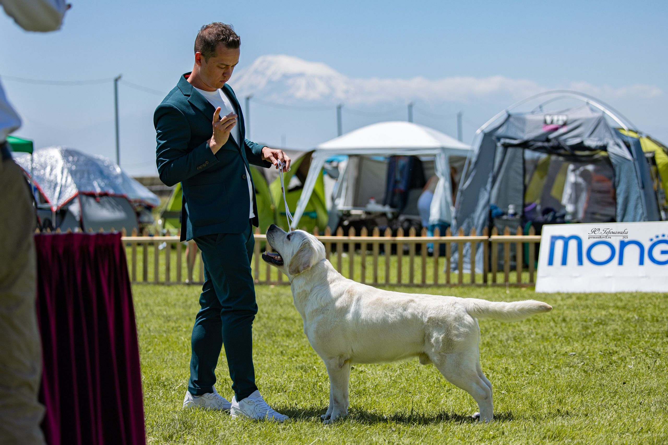 Ереван 3-5.06.2024. Фотограф-анималист Юлия Германика