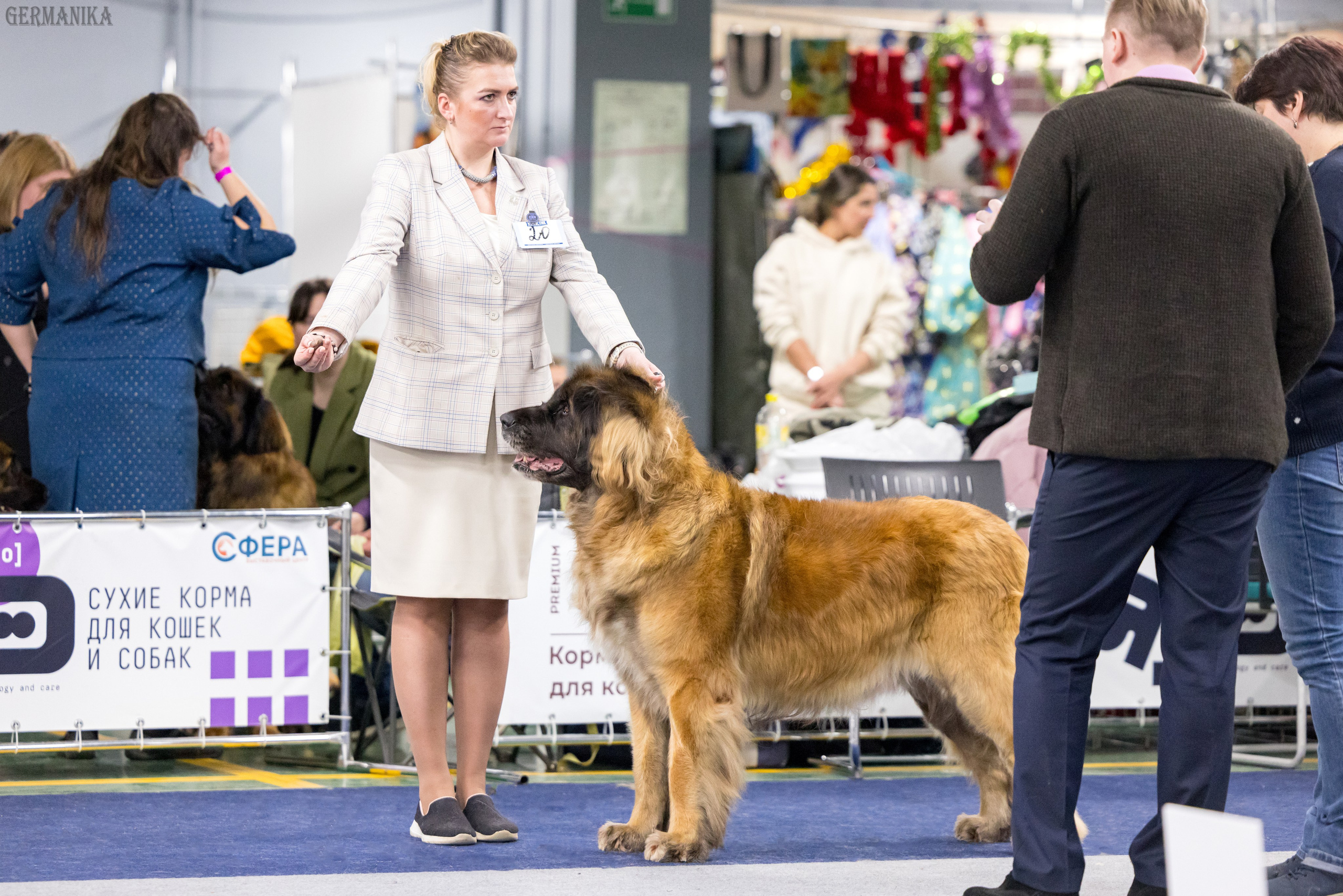 Сфера 28.01. и 4.02.2024. Фотограф-анималист Юлия Германика