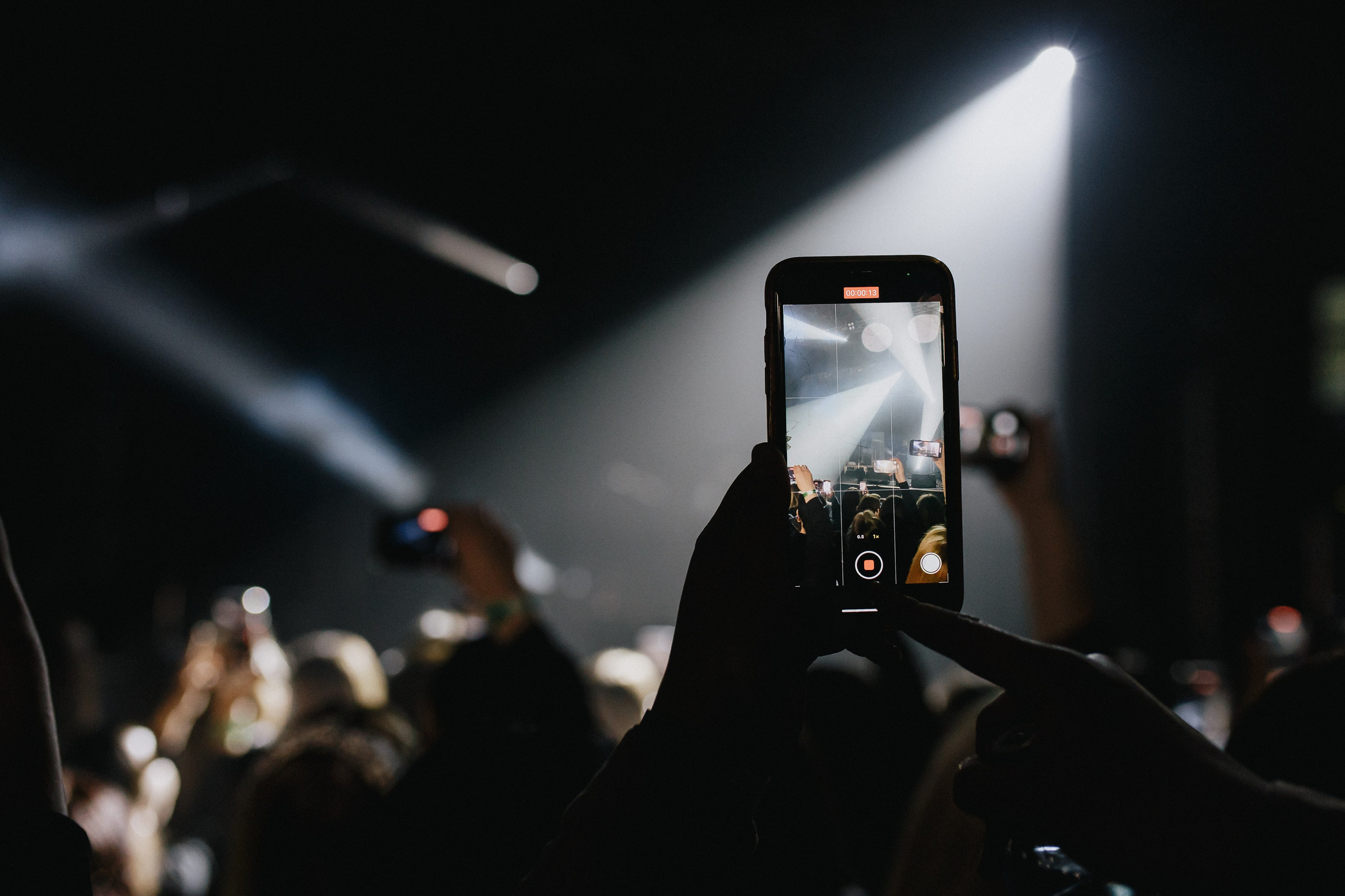 ANDRO|ELMAN|TONI|MONA. Фотограф Иркутск Антипин Сергей