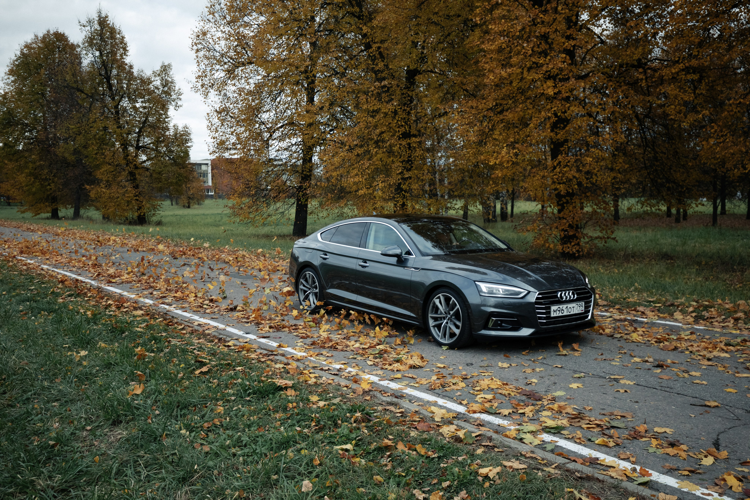 AUDI. Вадим Ветров