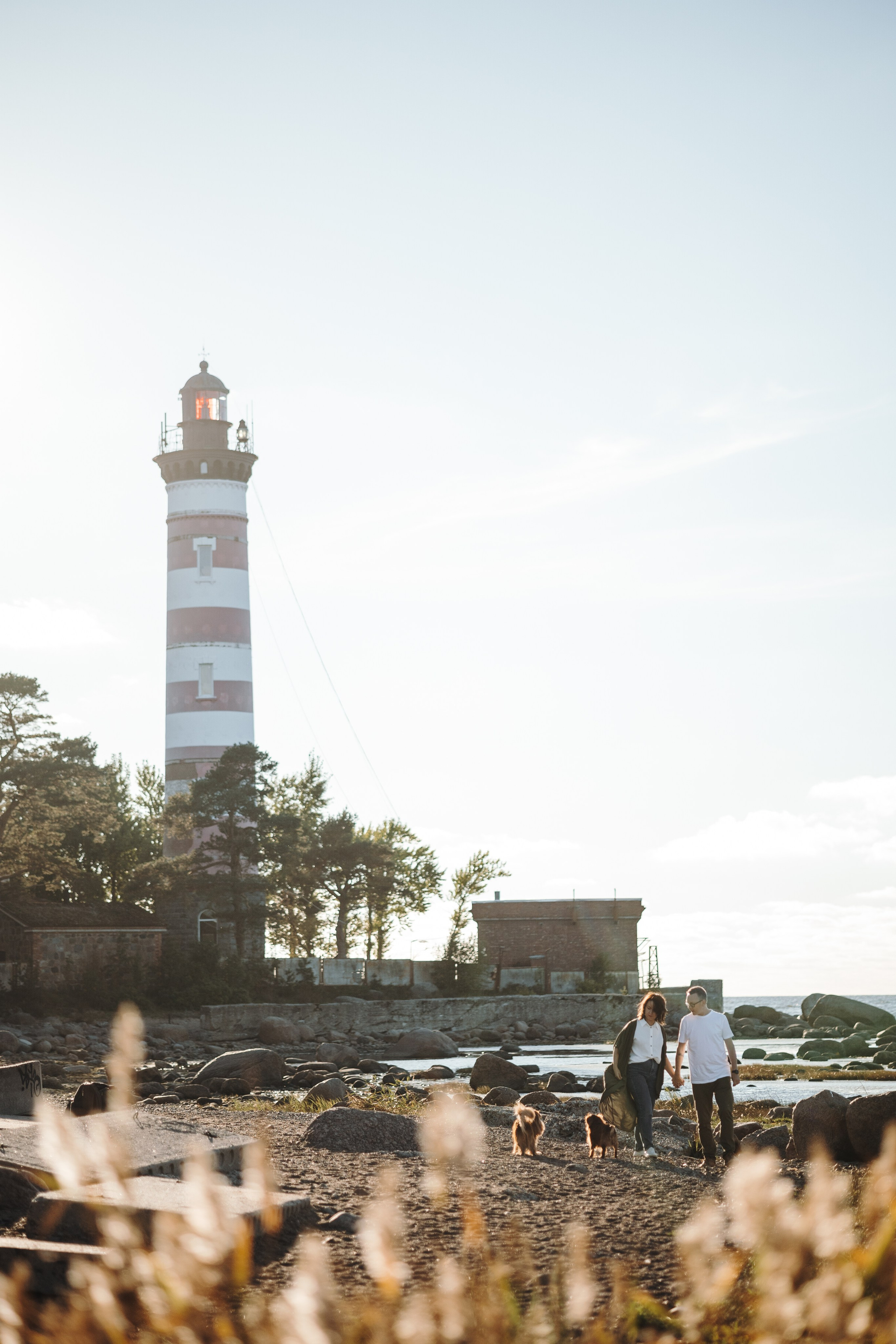 Верон, Гарри и их семья. Фотограф — Анималист | Санкт-Петербург