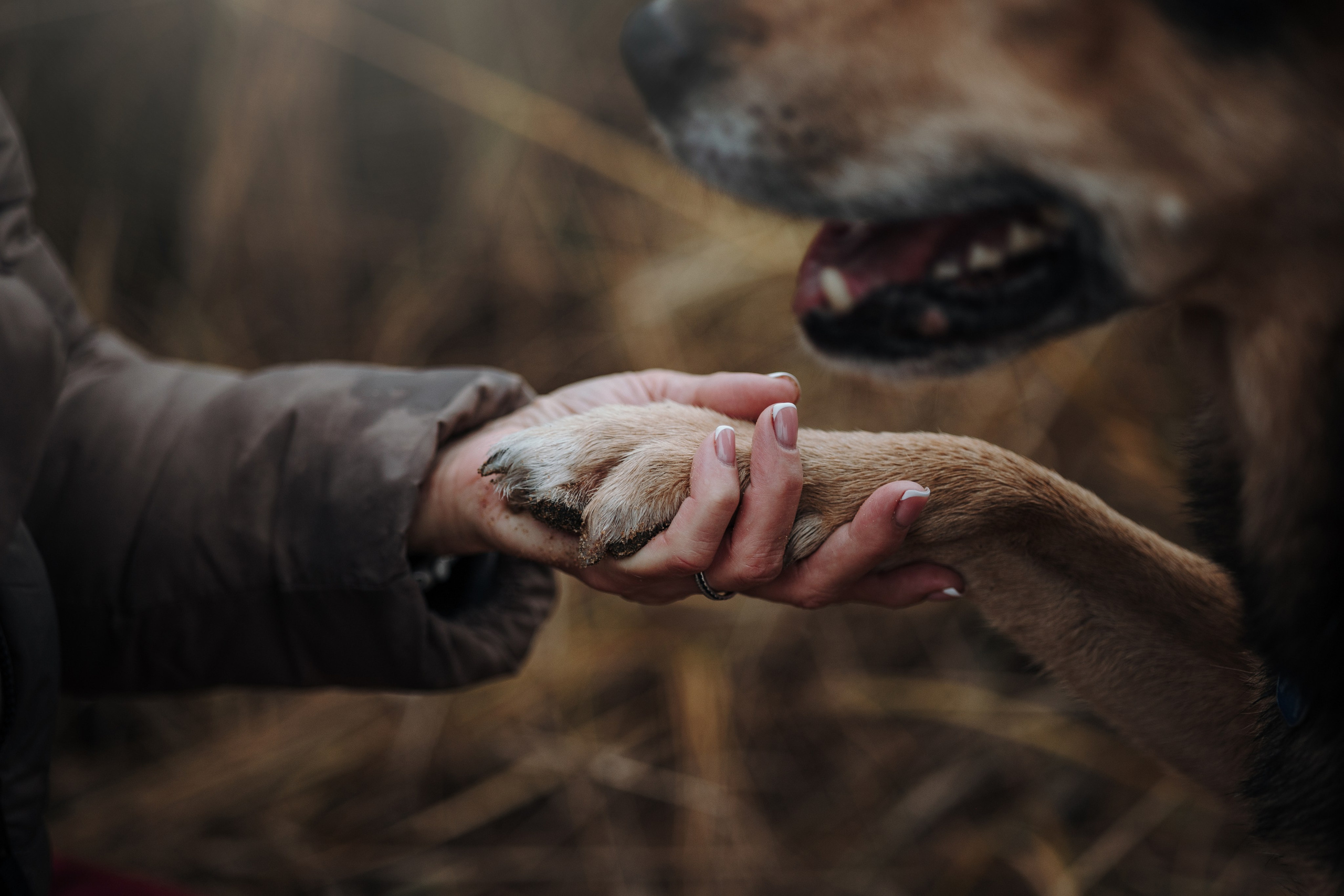 Наталья и Того. Фотограф — Анималист | Санкт-Петербург