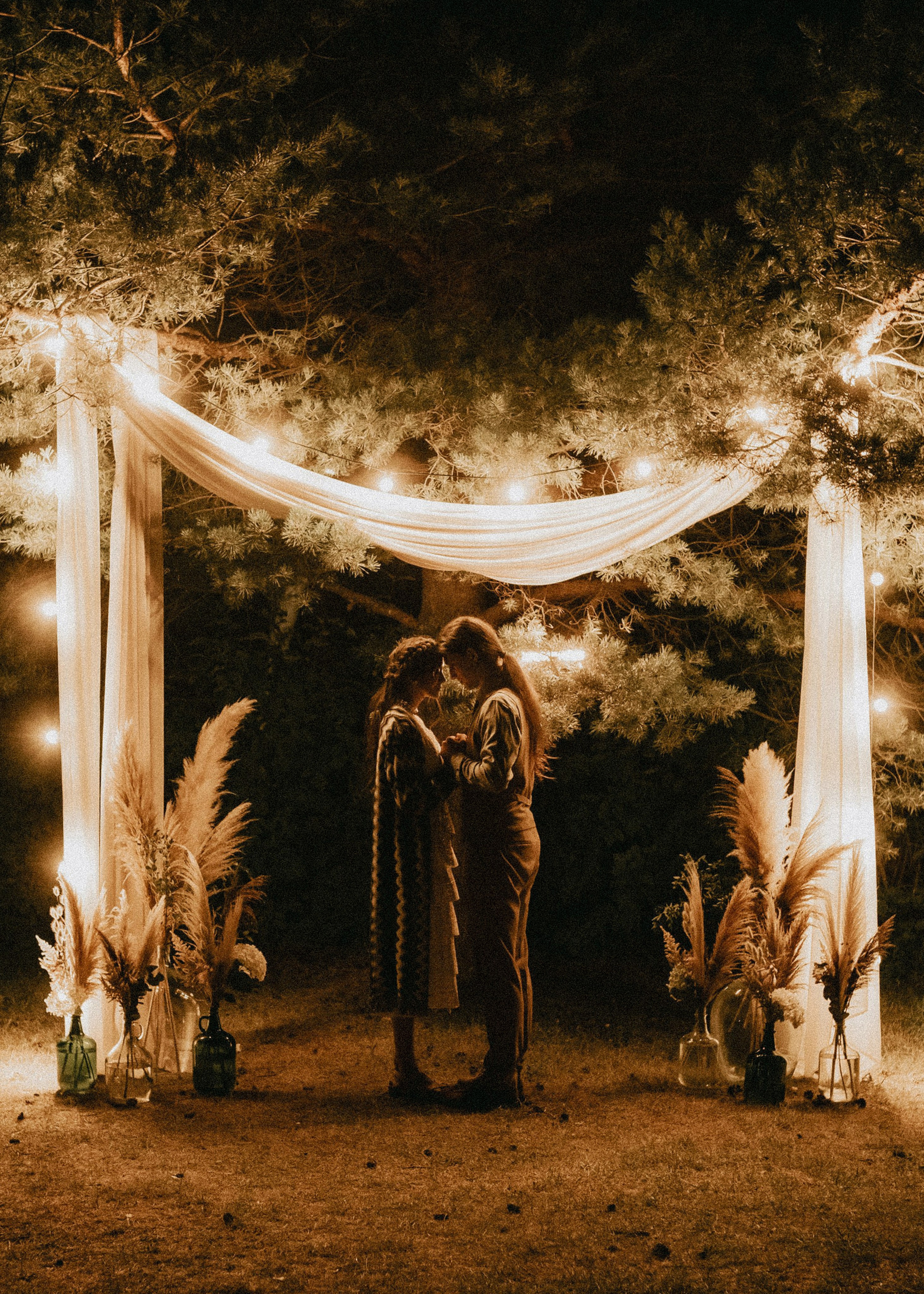 Жарптица. Константин Суриков свадебный фотограф Санкт-Петербург