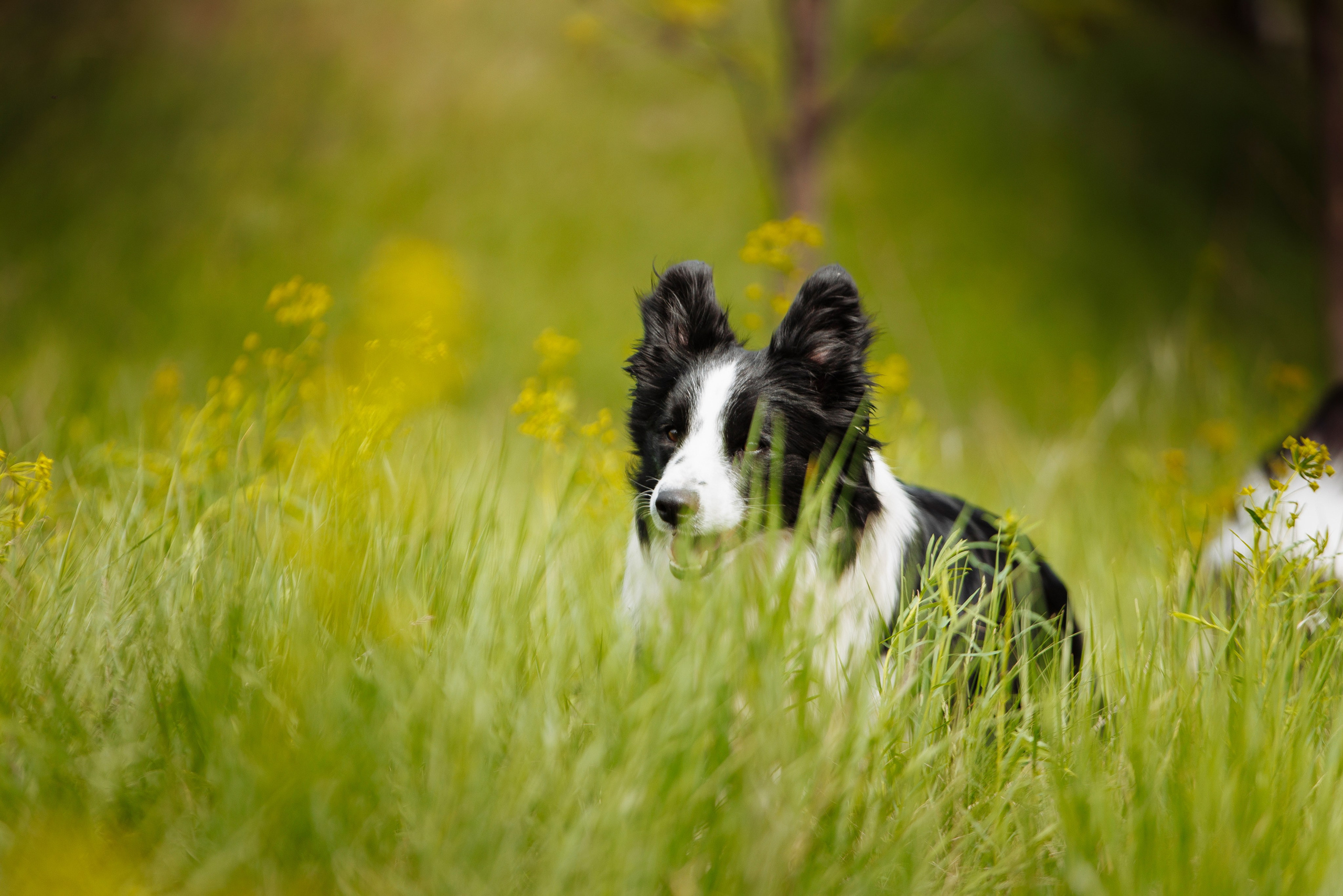Такой разношерстный Орск 25. О нас